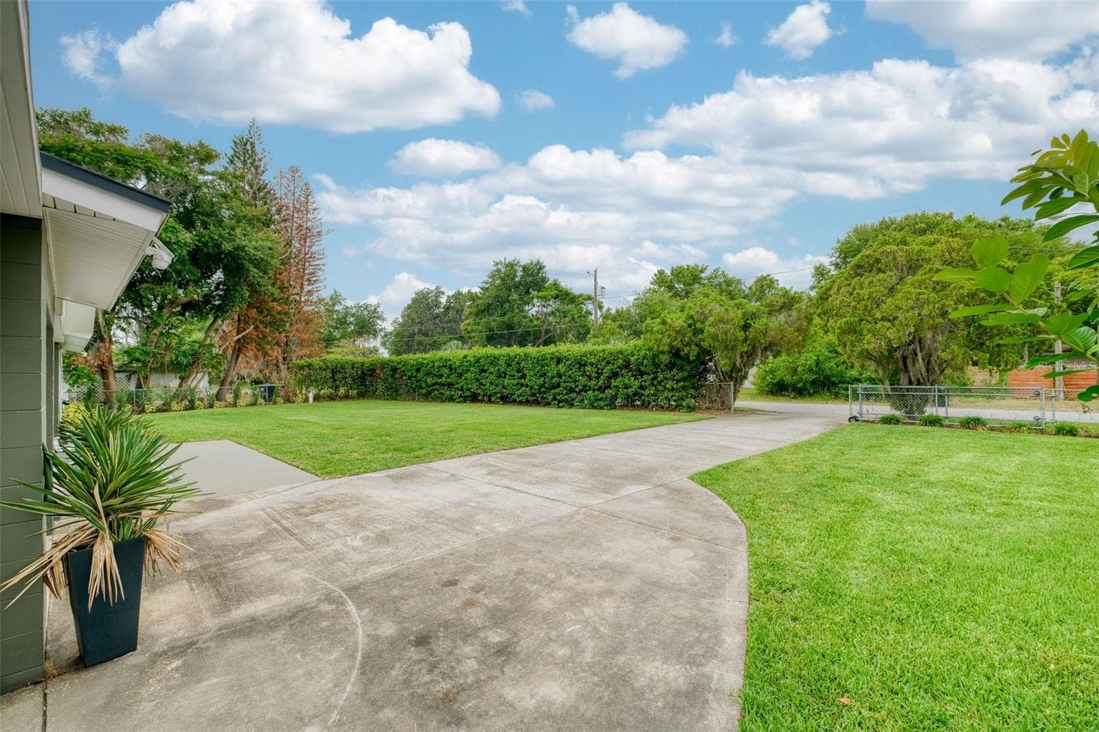 10-foot Viburnum Hedges for Privacy - 5769 ROCKWOOD AVE, ORLANDO