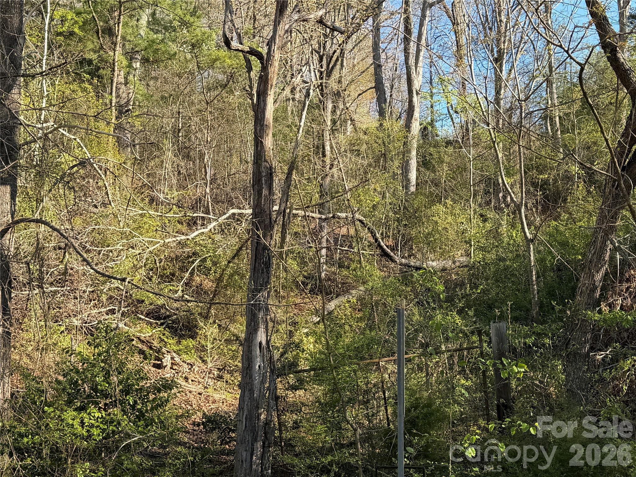 Lot at Asheville, photo 2 of 7