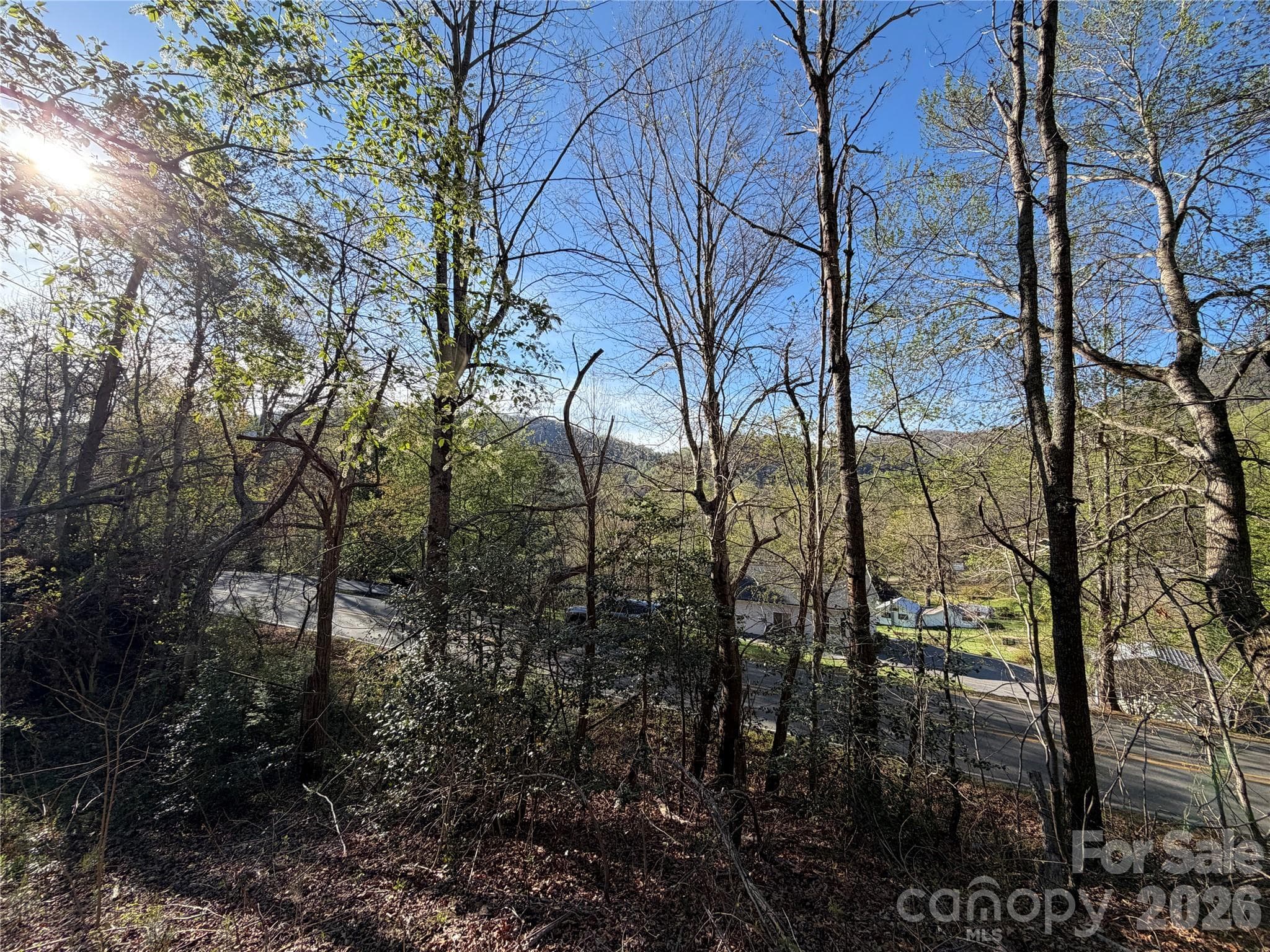 View from home could be wonderful with some selective tree removal. - Asheville
