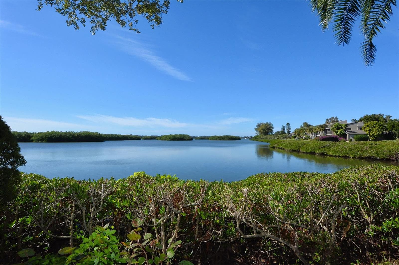 Condominium at 1515 PELICAN POINT DR #BA185, SARASOTA, photo 59 of 80