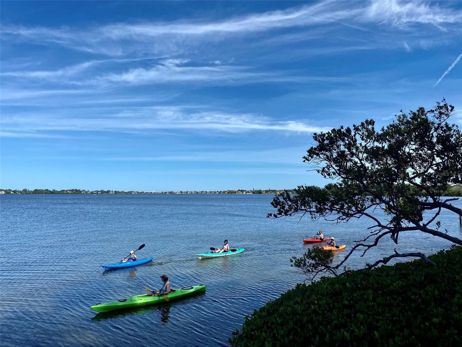 Condominium at 1515 PELICAN POINT DR #BA185, SARASOTA, photo 78 of 80