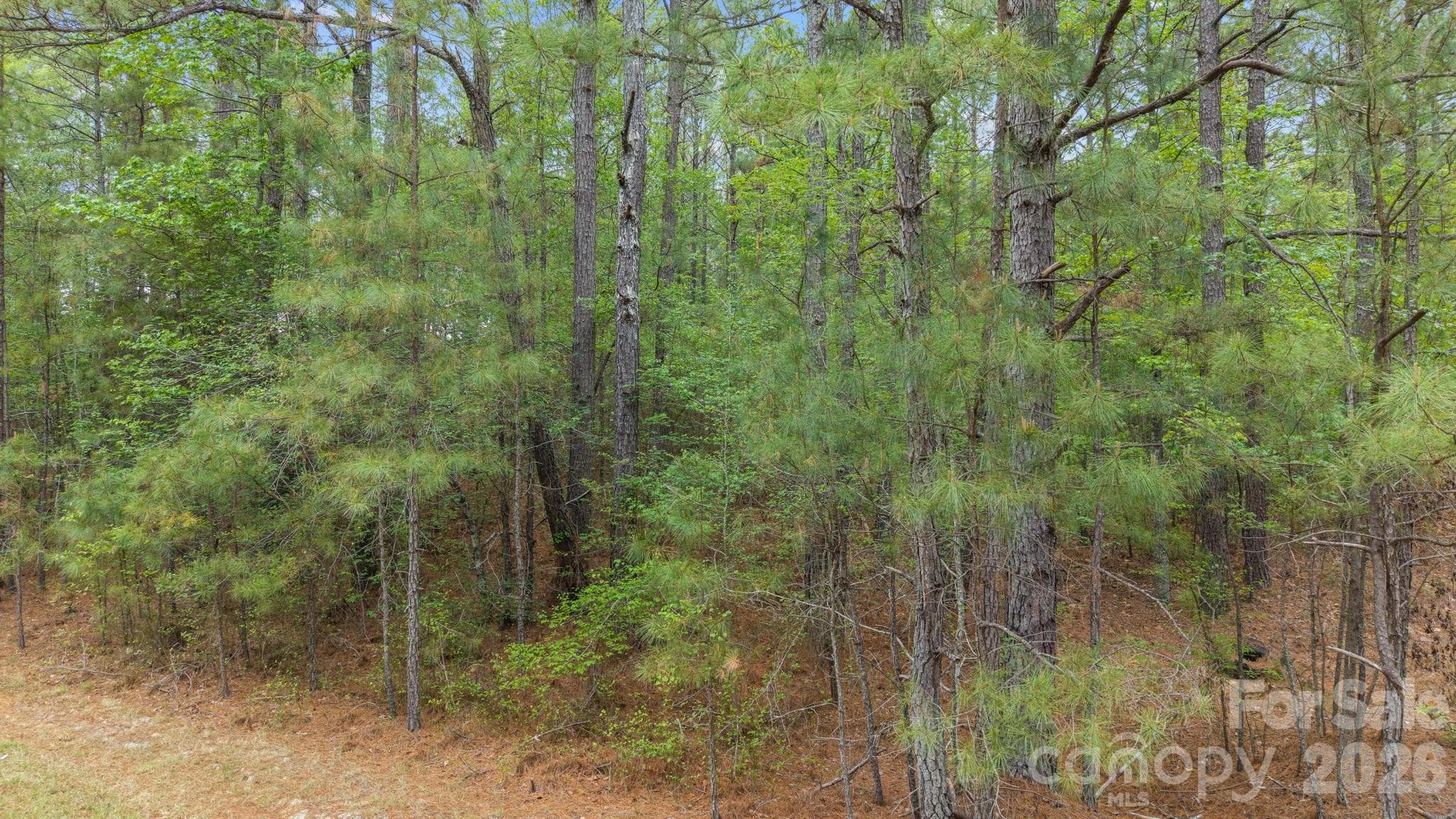 Acreage at Vacant Davis Haywood Road, Mount Gilead, photo 2 of 2