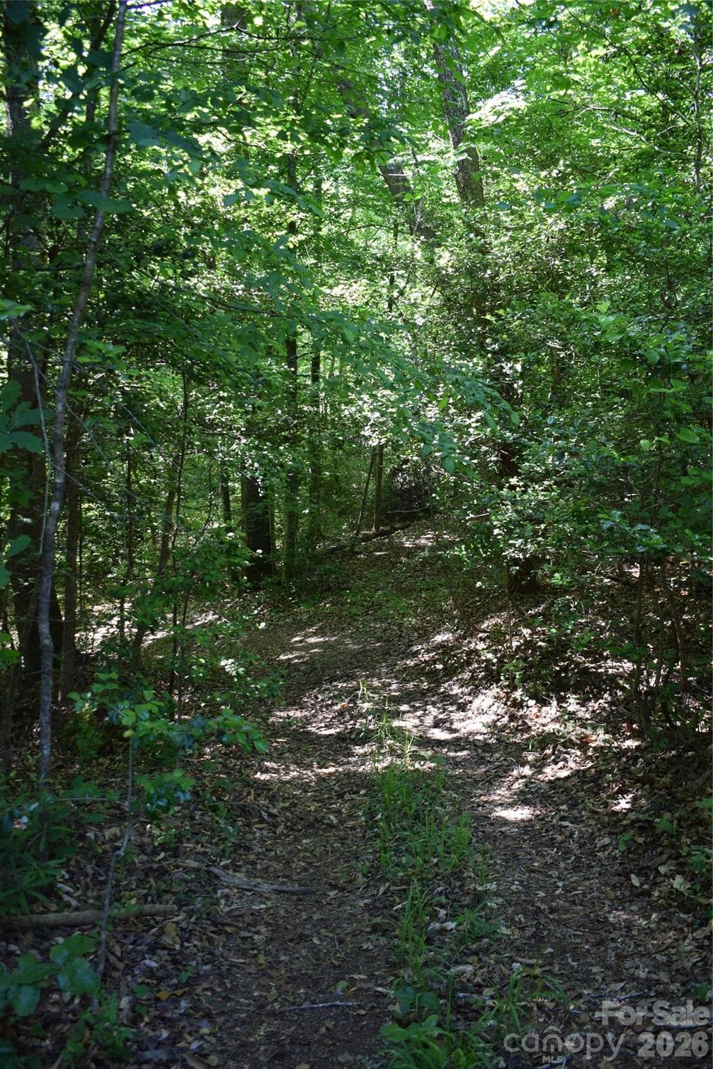 Acreage at 0 Floyd Blackwell Road, Tryon, photo 2 of 24
