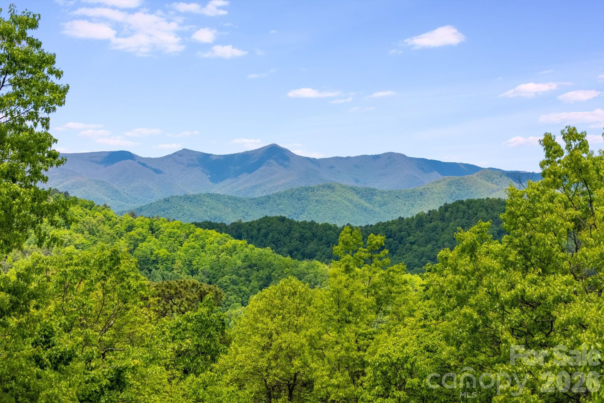 View From Back Porch - Black Mountain