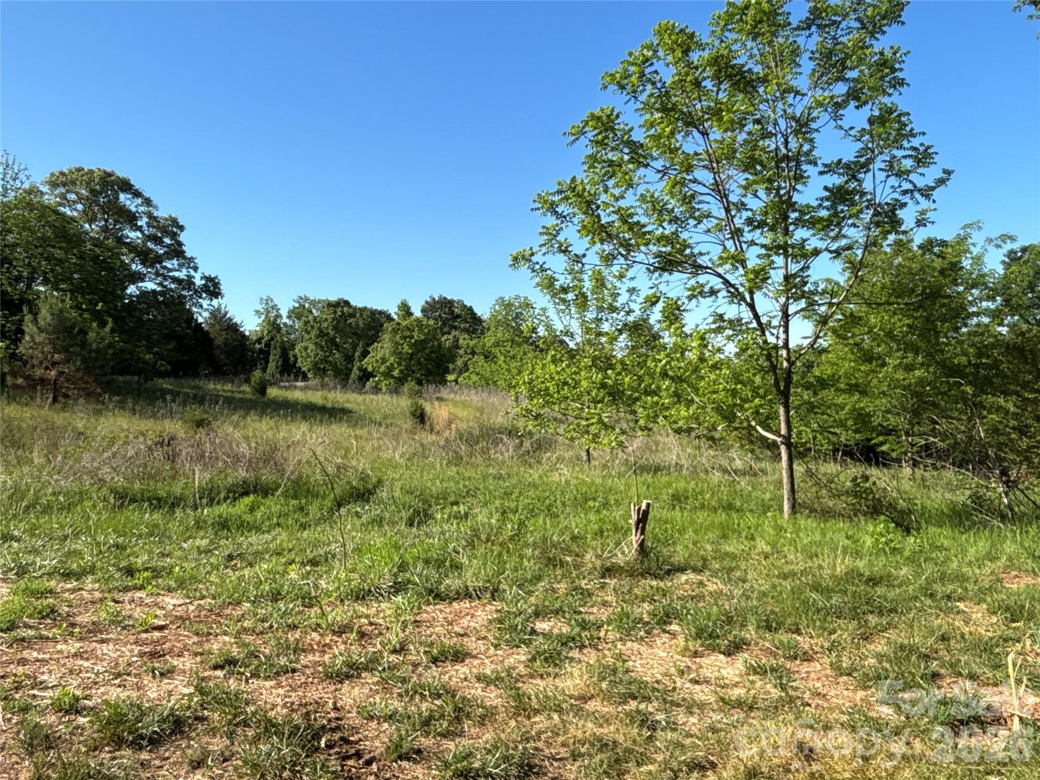 Open Area - Troutman