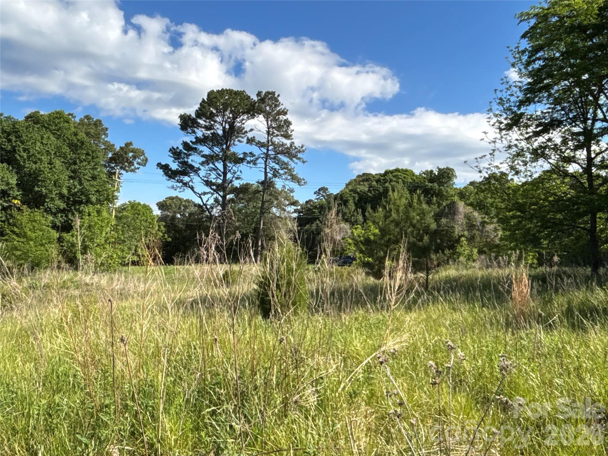 Open Area - Troutman