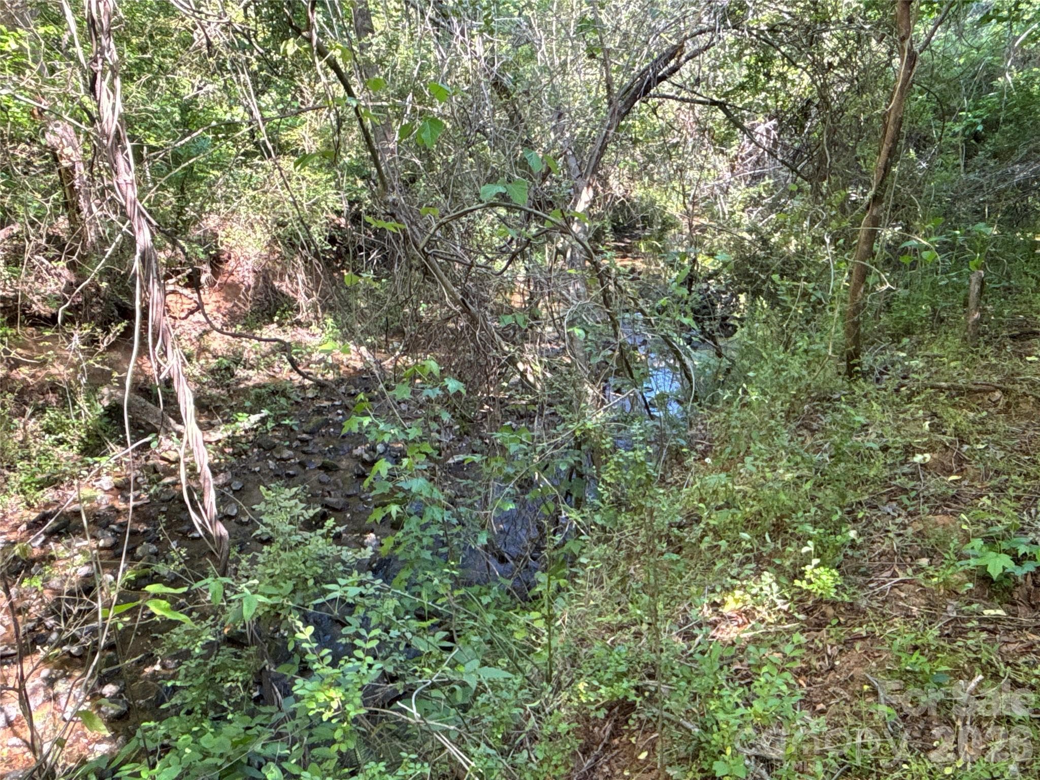 Creek - Troutman