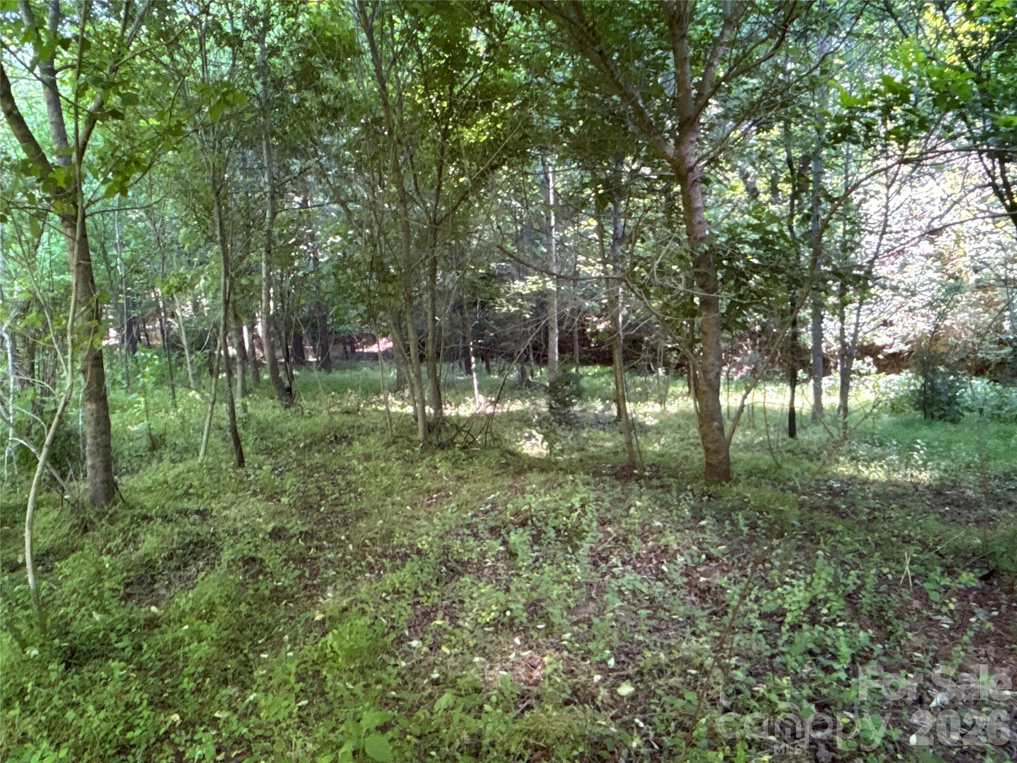 Acreage at Troutman, photo 25 of 26