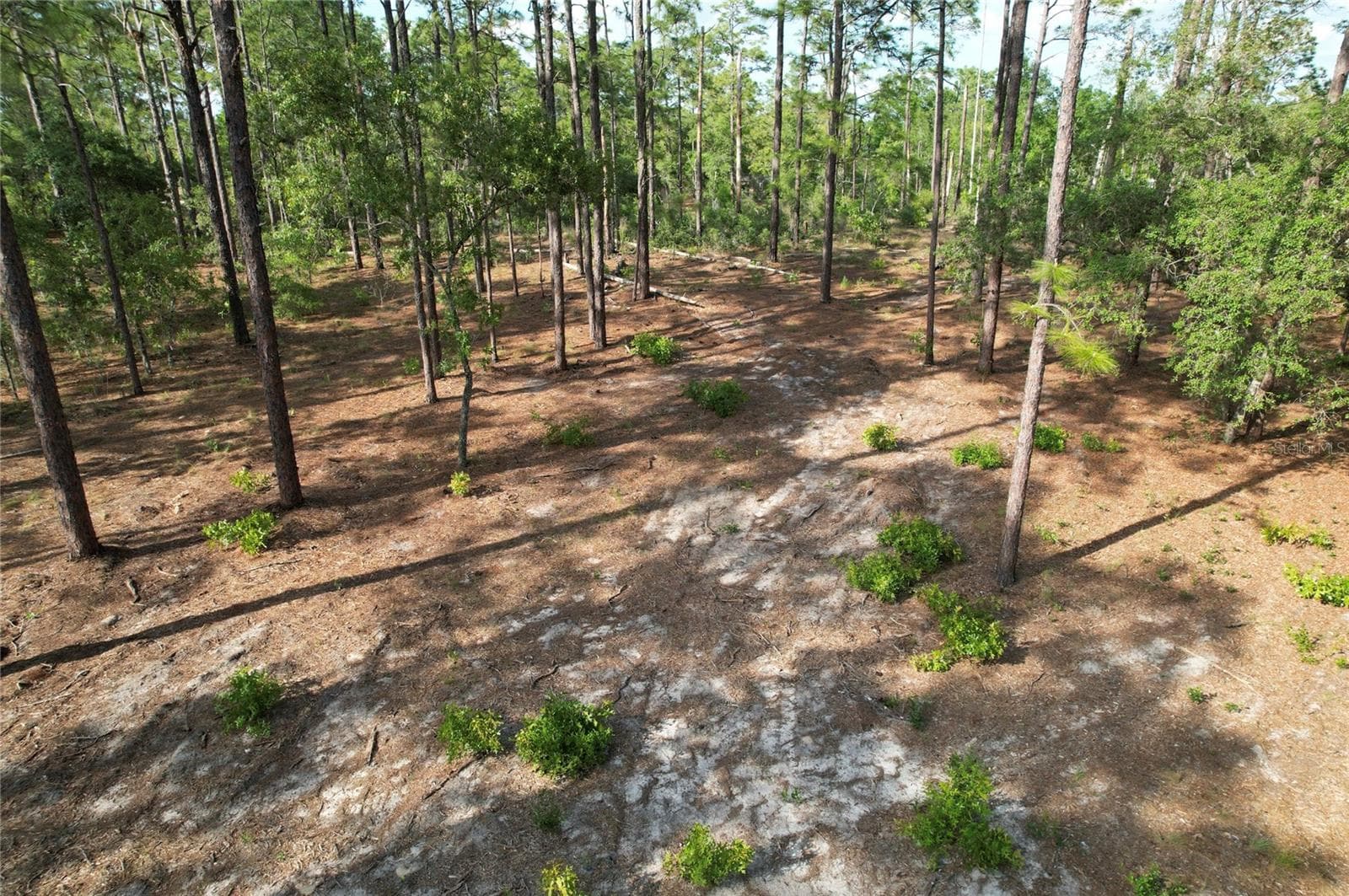 Land at SE 148TH CT, MORRISTON, photo 3 of 9
