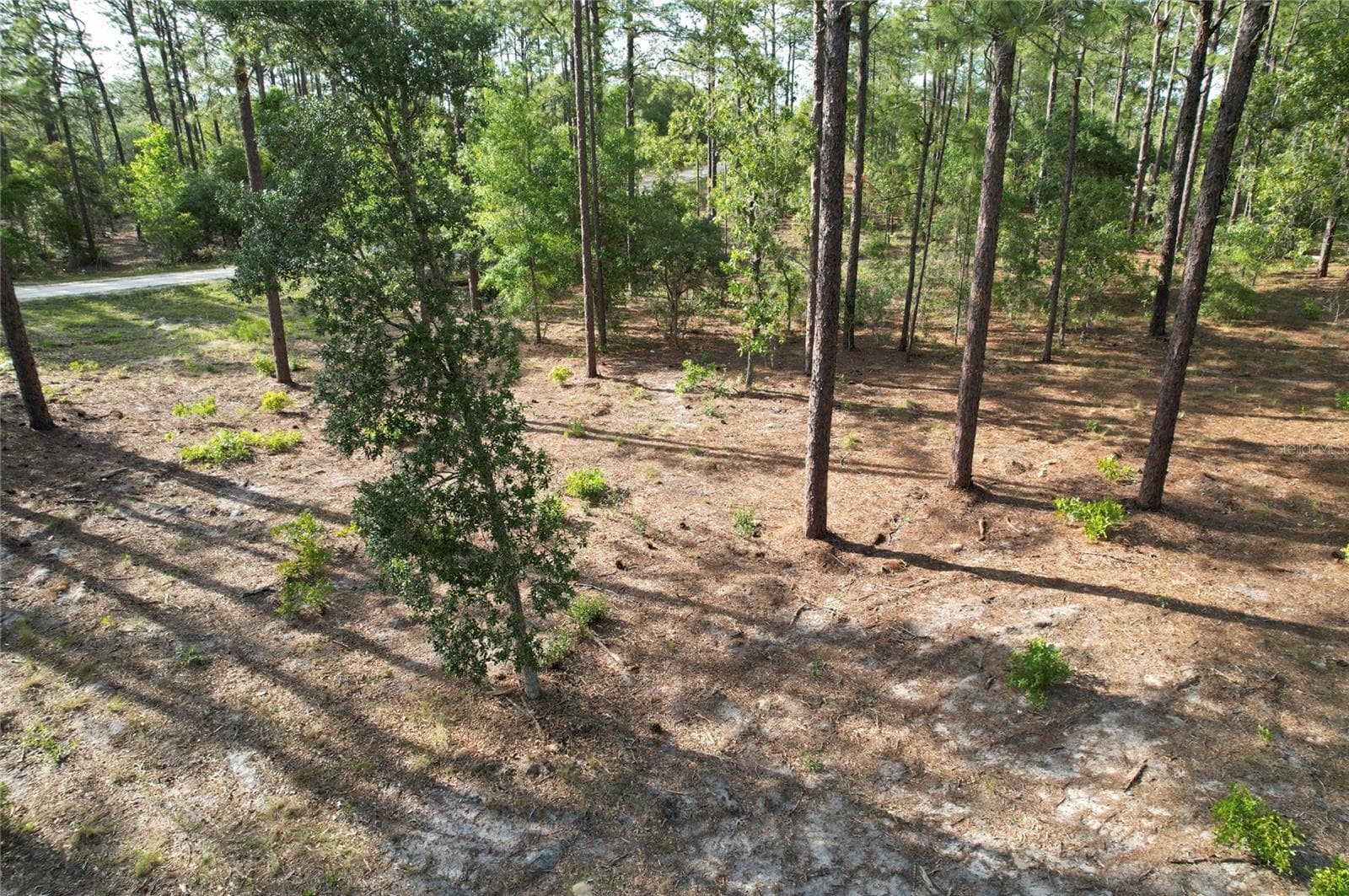 Land at SE 148TH CT, MORRISTON, photo 4 of 9