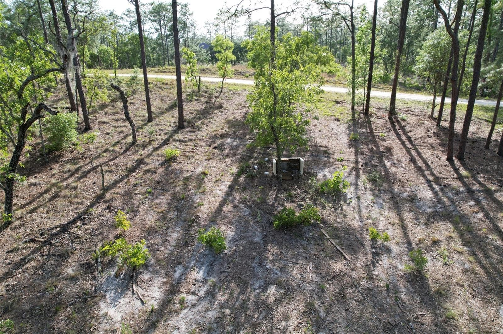 Land at SE 148TH CT, MORRISTON, photo 5 of 9