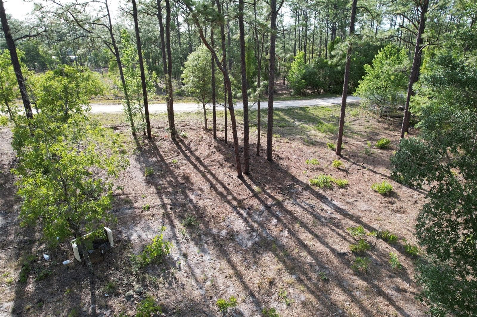 Land at SE 148TH CT, MORRISTON, photo 7 of 9