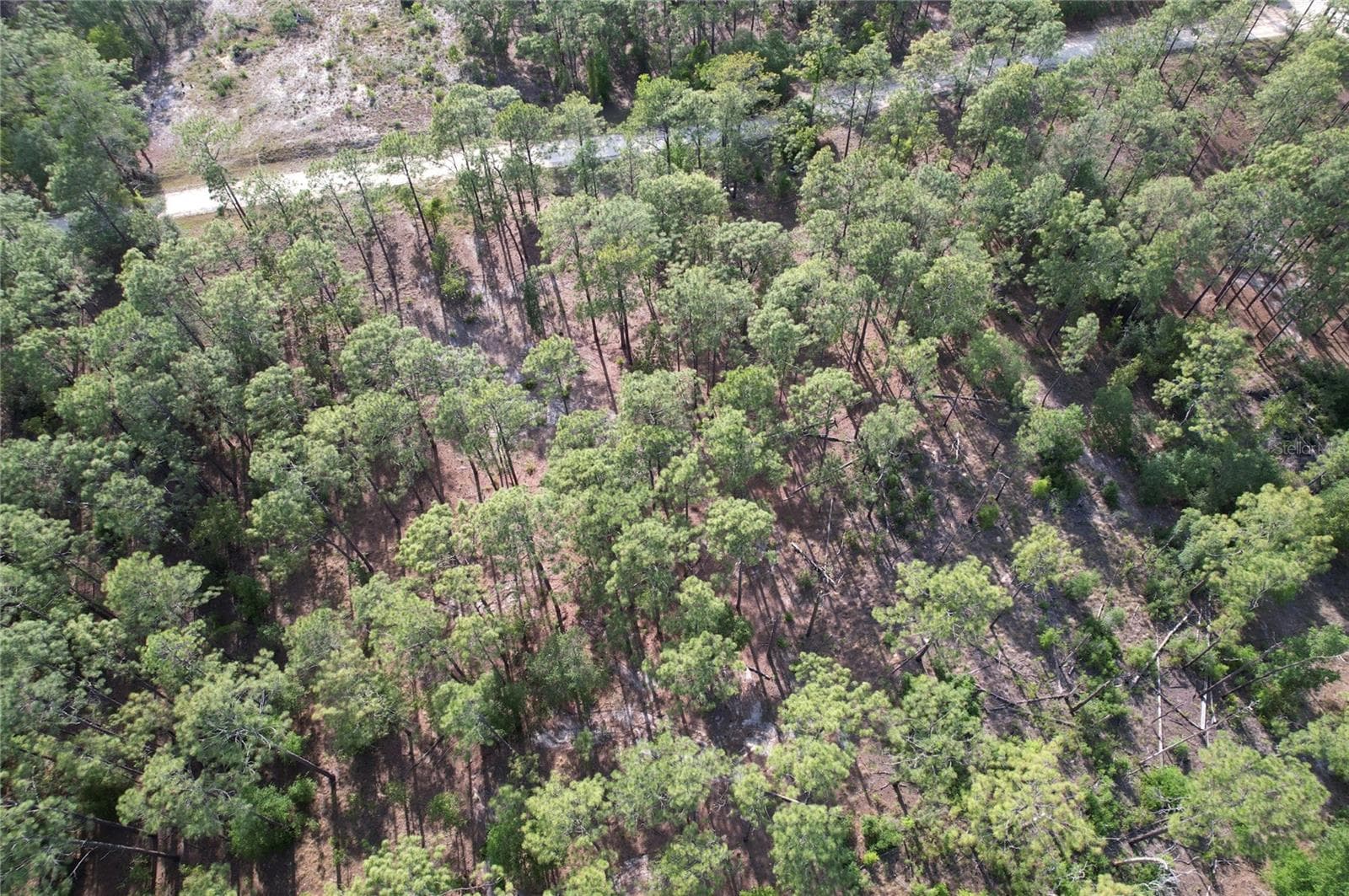 Land at SE 148TH CT, MORRISTON, photo 8 of 9