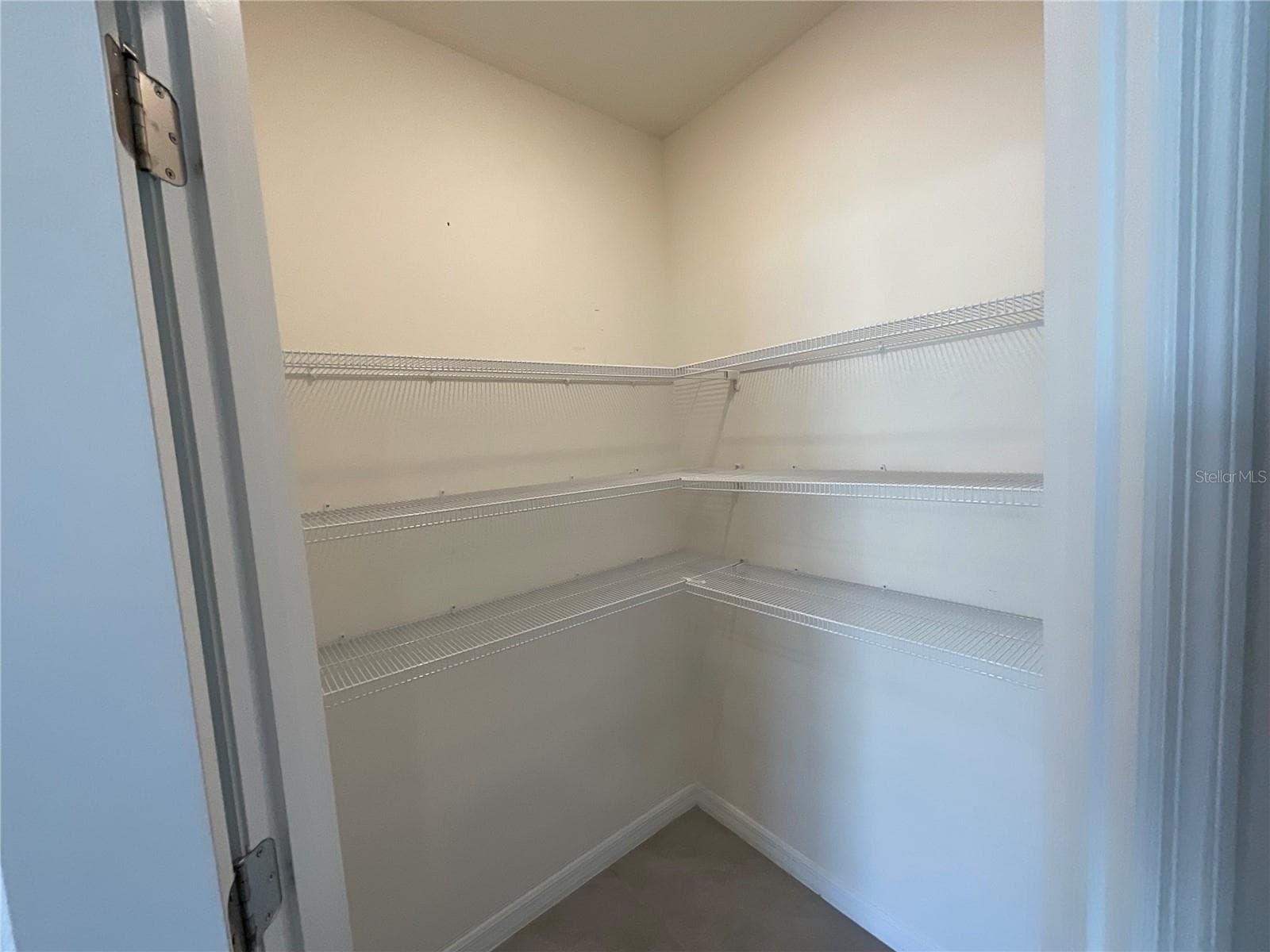 Pantry - 33409 FIELD MAPLE LOOP, WESLEY CHAPEL