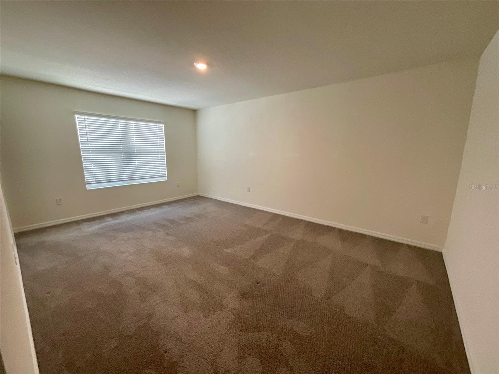 Primary Bedroom - 33409 FIELD MAPLE LOOP, WESLEY CHAPEL