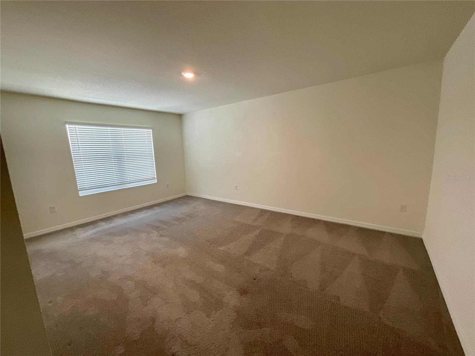 Primary Bedroom - 33409 FIELD MAPLE LOOP, WESLEY CHAPEL