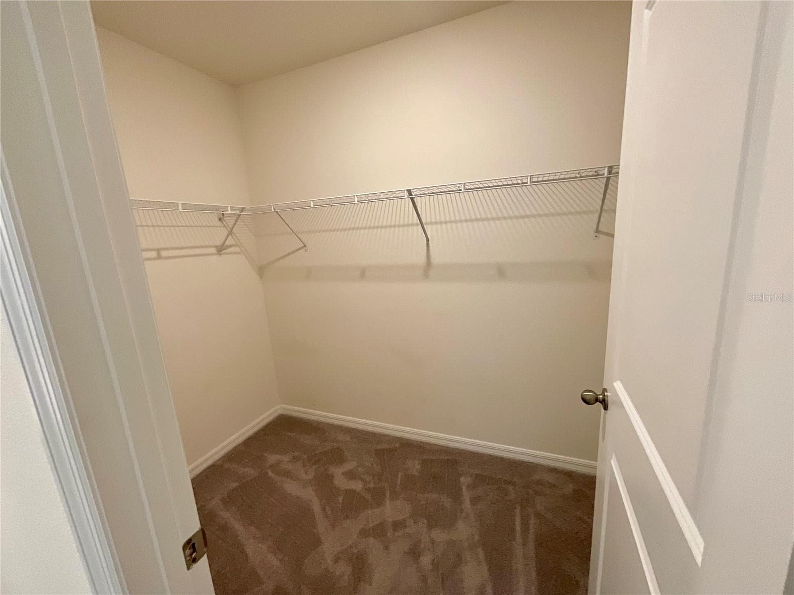Primary Closet - 33409 FIELD MAPLE LOOP, WESLEY CHAPEL