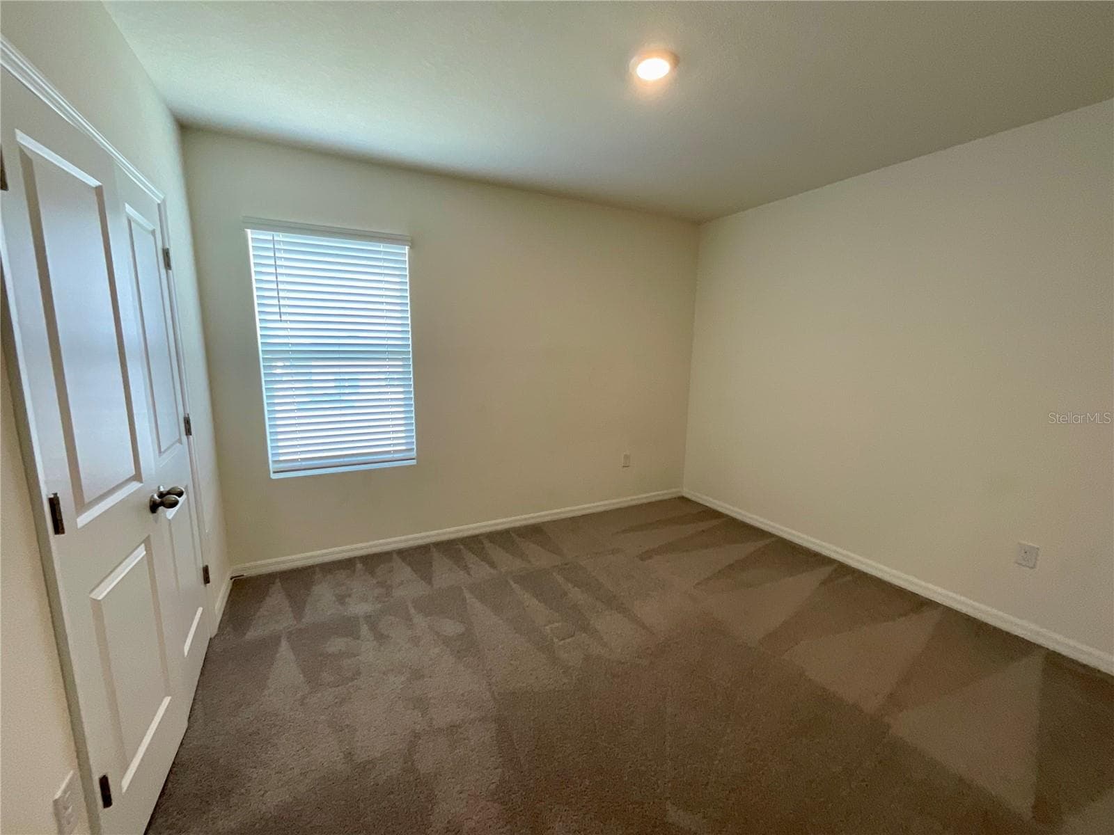 Bedroom 4 - 33409 FIELD MAPLE LOOP, WESLEY CHAPEL