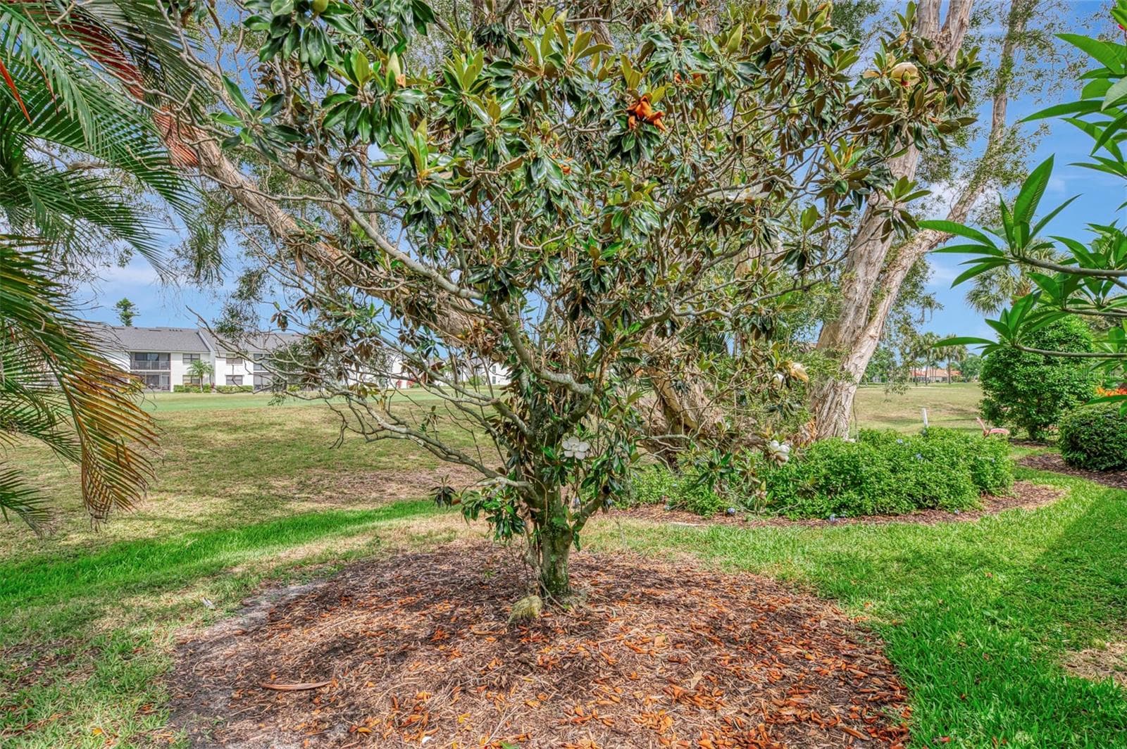 Single Family Residence at 625 MISTY PINE DR, VENICE, photo 44 of 49