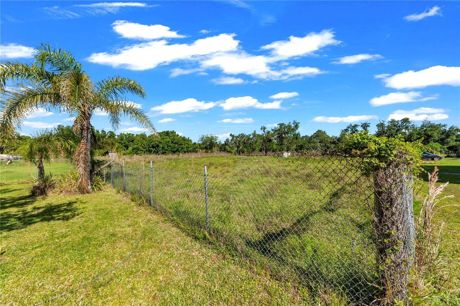 Single Family Residence at 13610 ACKER RD, DOVER, photo 34 of 53
