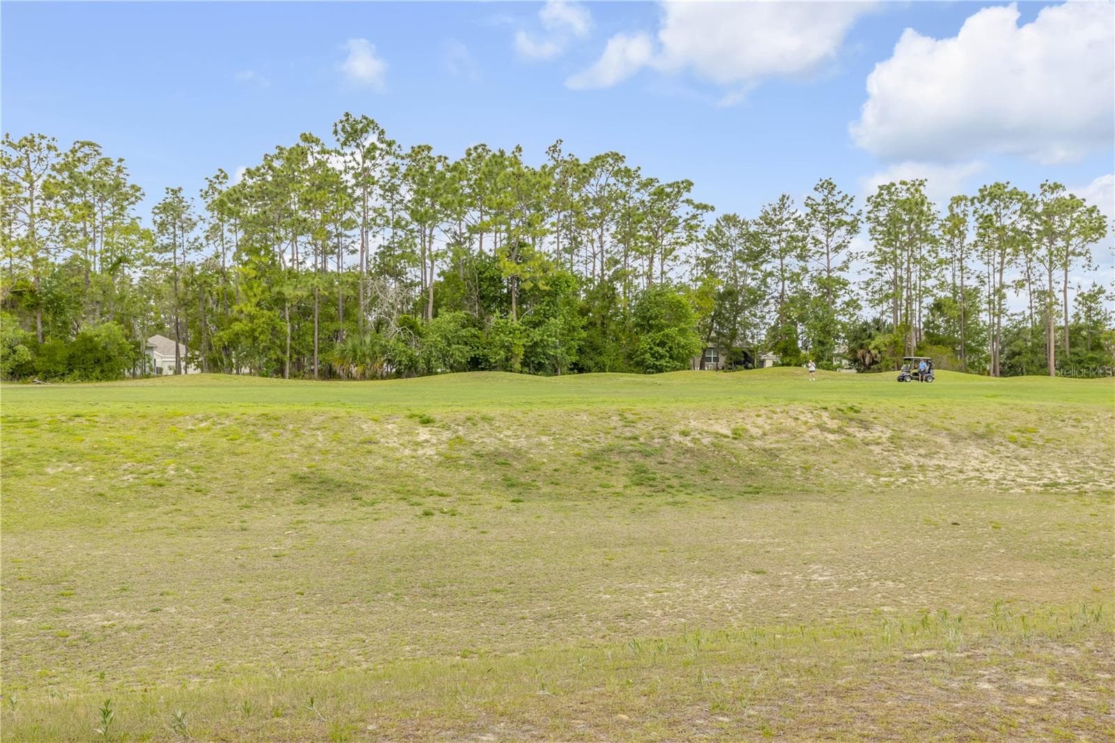 Single Family Residence at 48 HICKORY CRSE, OCALA, photo 44 of 52