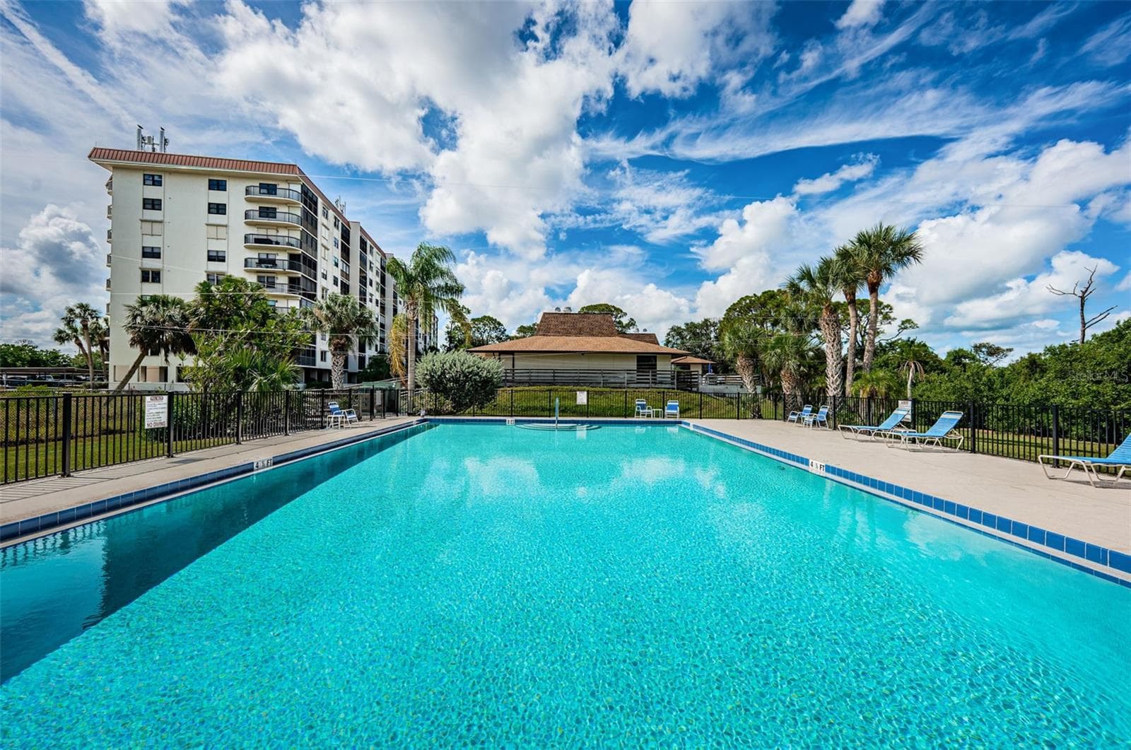 Spectacular heated pool with Condos in the background. - 5400 PARK ST N #303, ST PETERSBURG