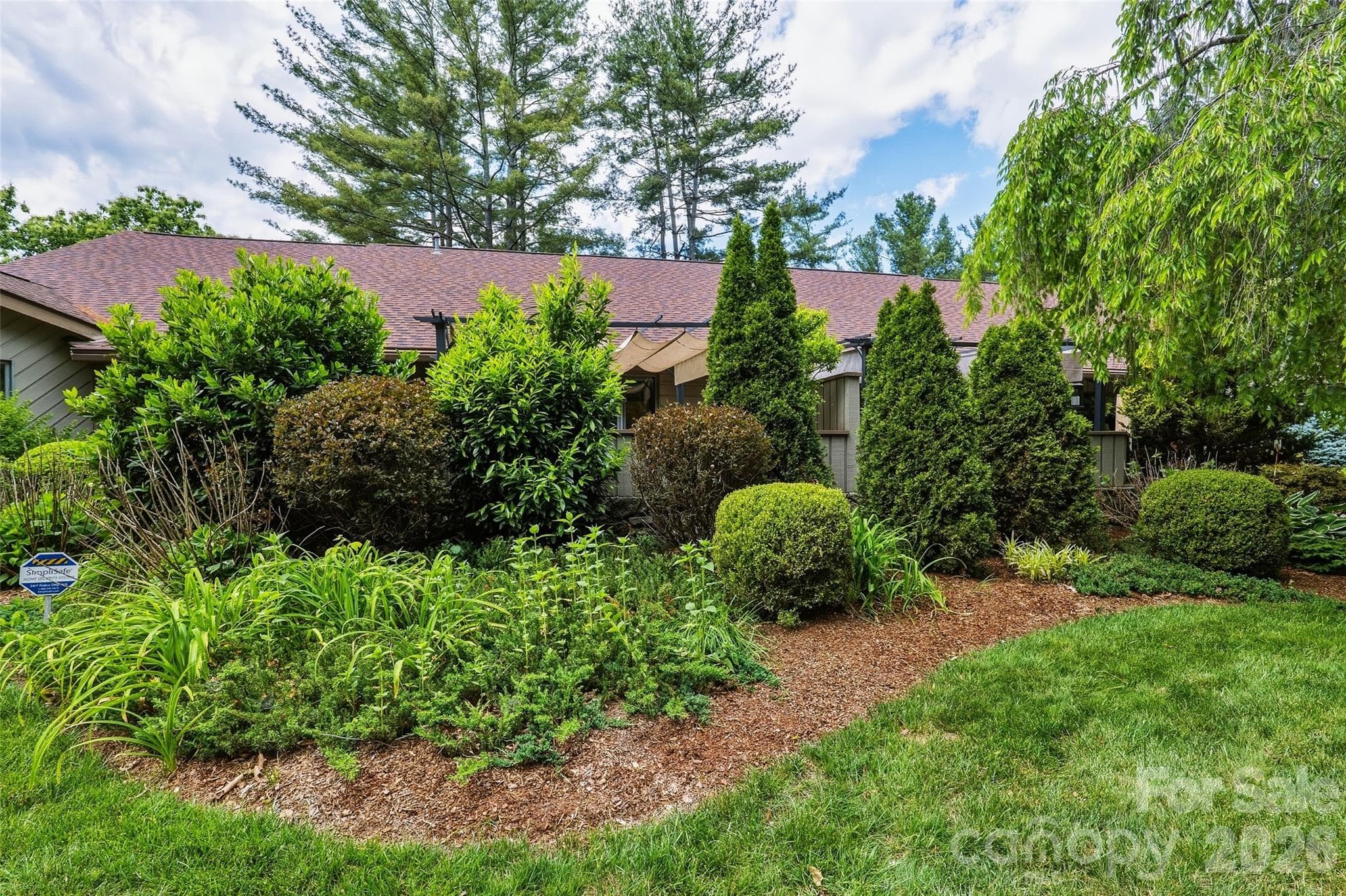 Mature privacy landscaping - 201 Timber Drive, Asheville