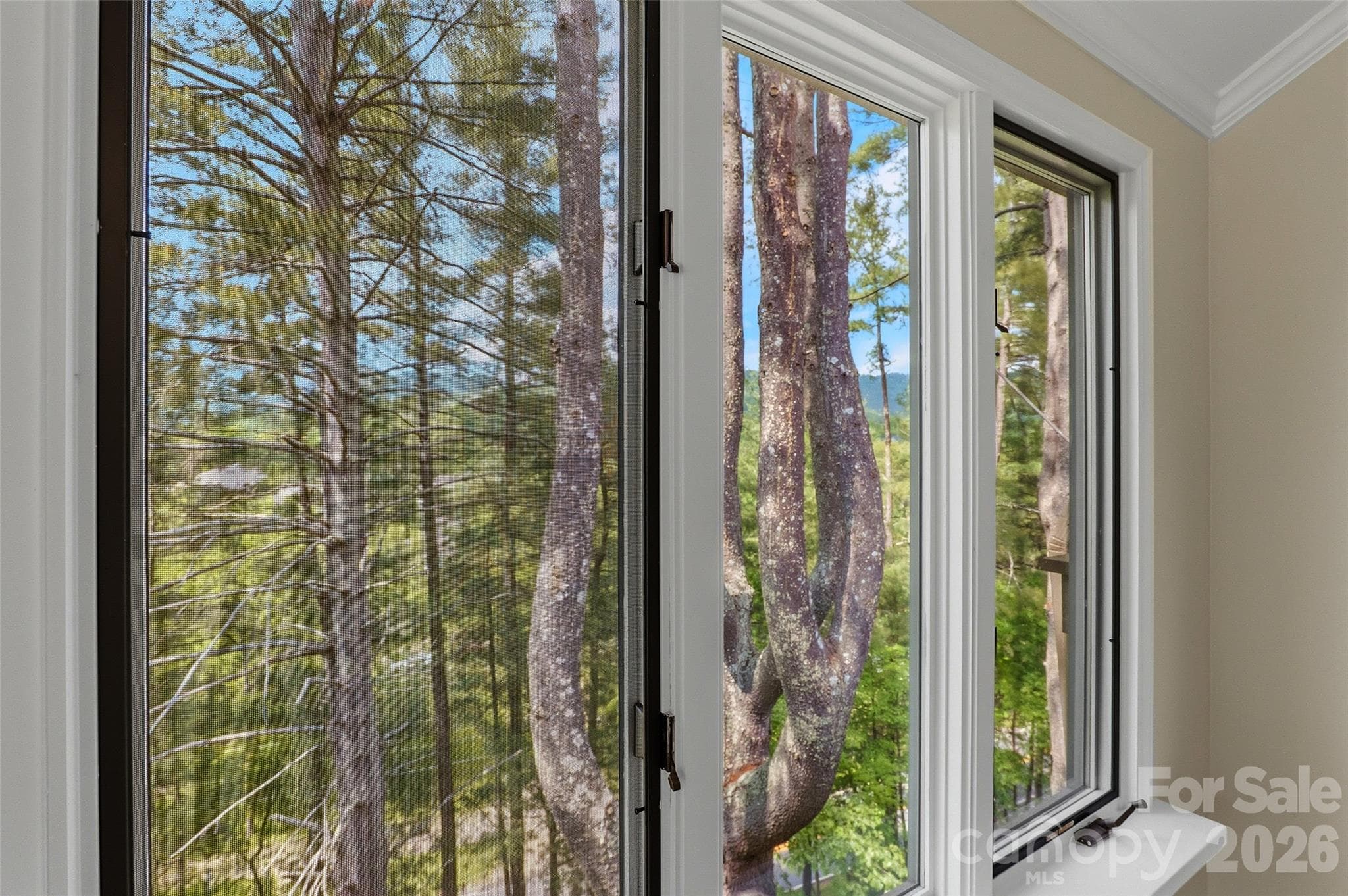 Tree views - 201 Timber Drive, Asheville