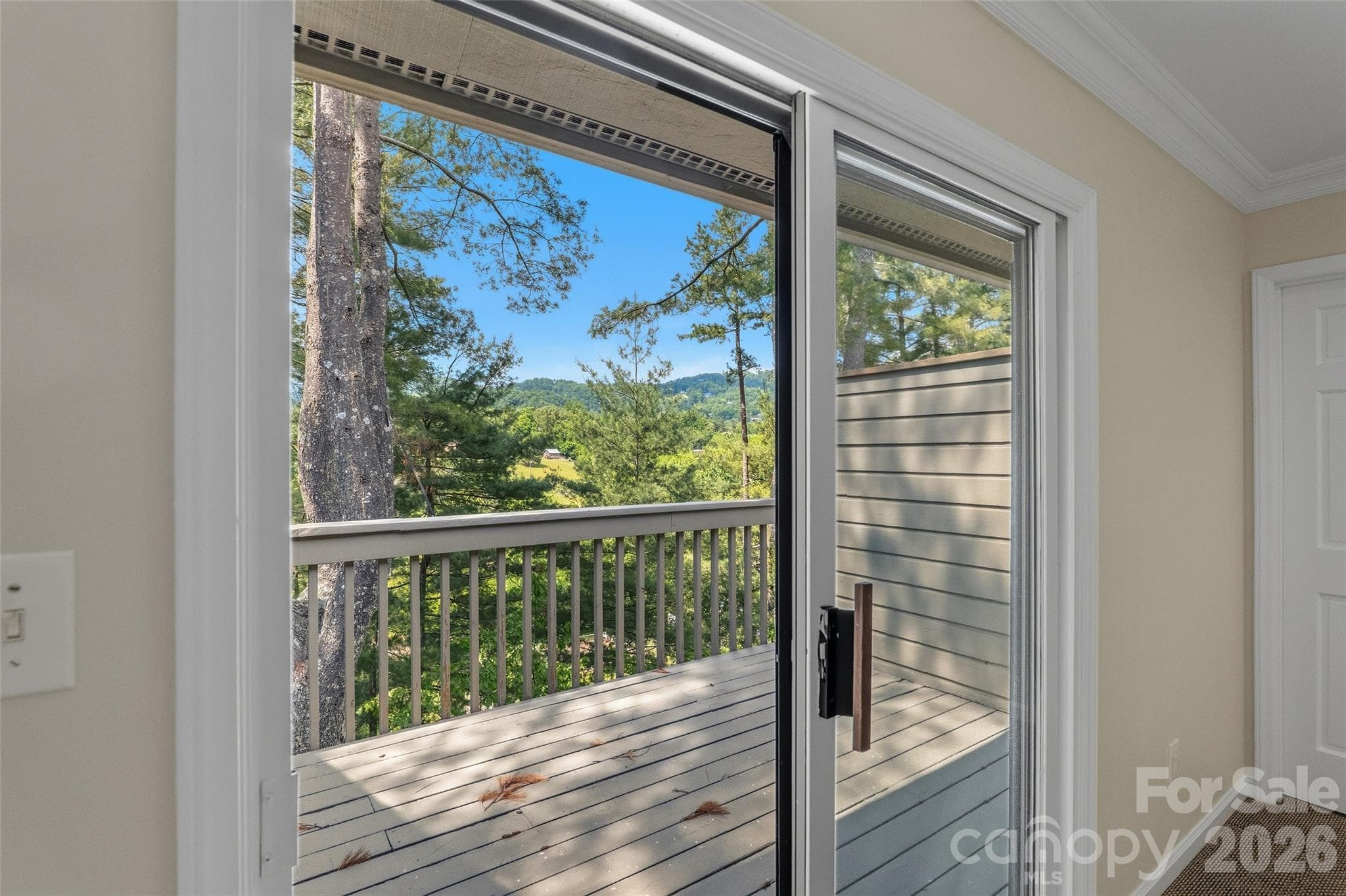 Views - 201 Timber Drive, Asheville