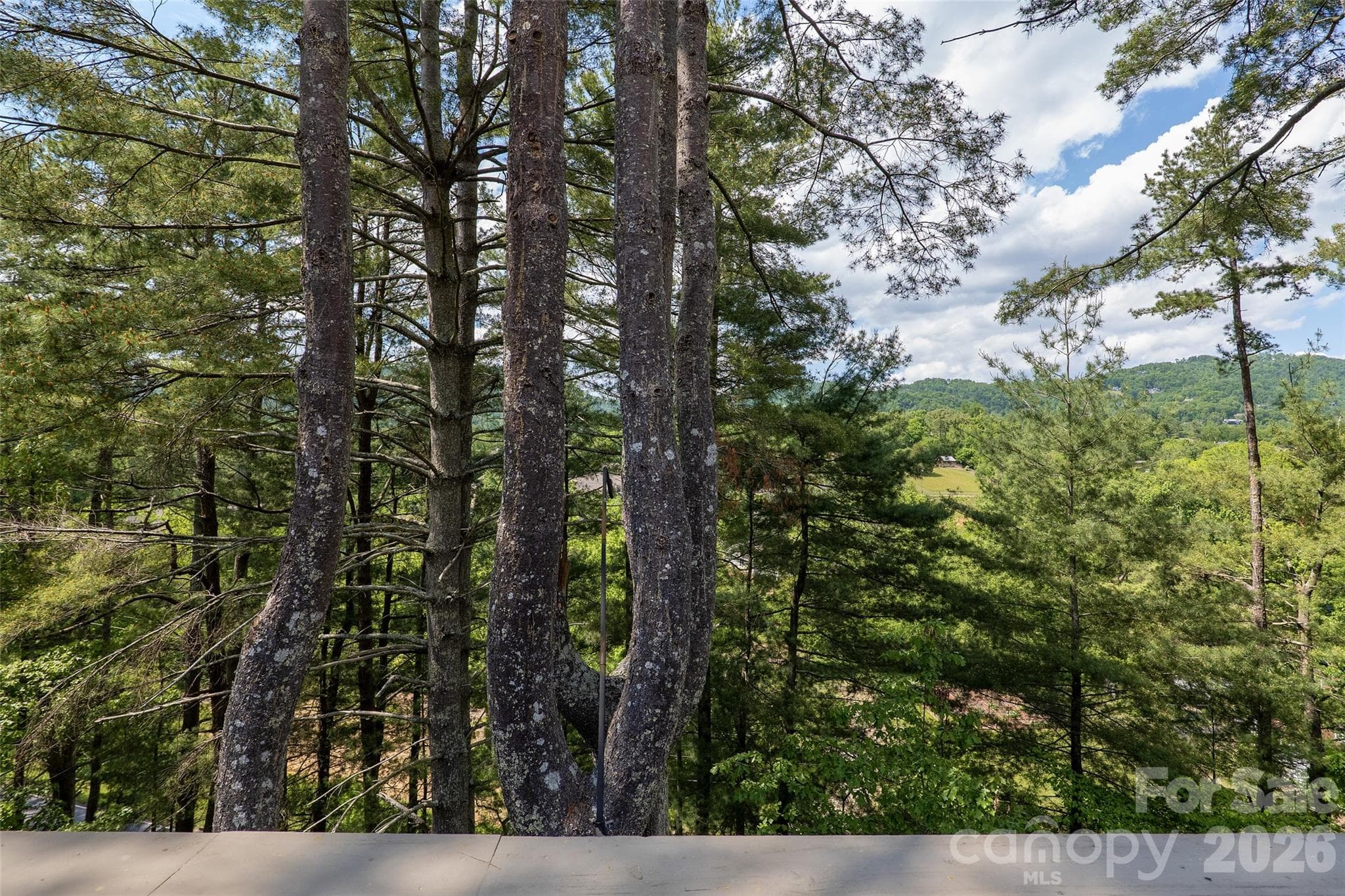 Views - 201 Timber Drive, Asheville