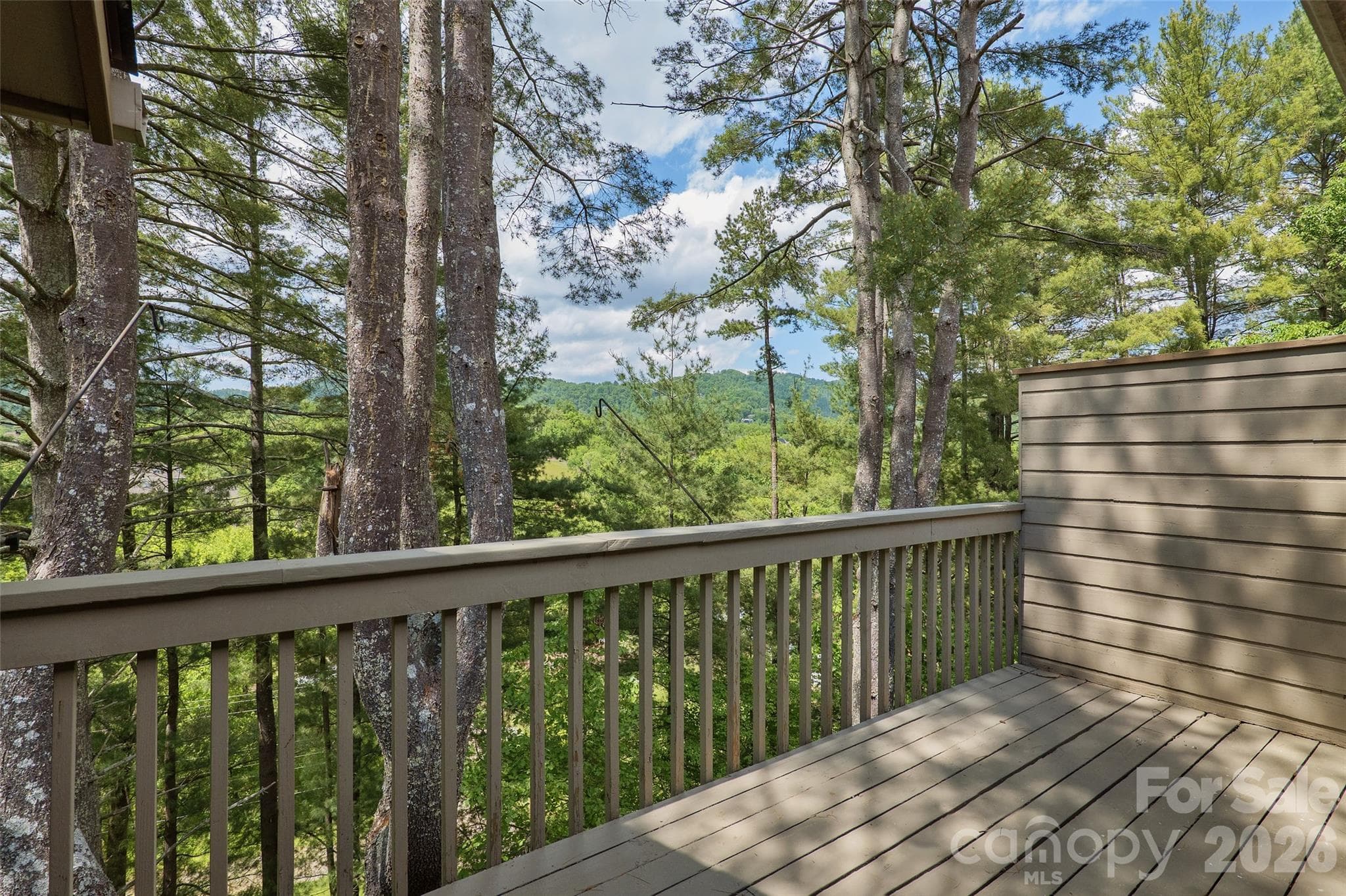 Views - 201 Timber Drive, Asheville