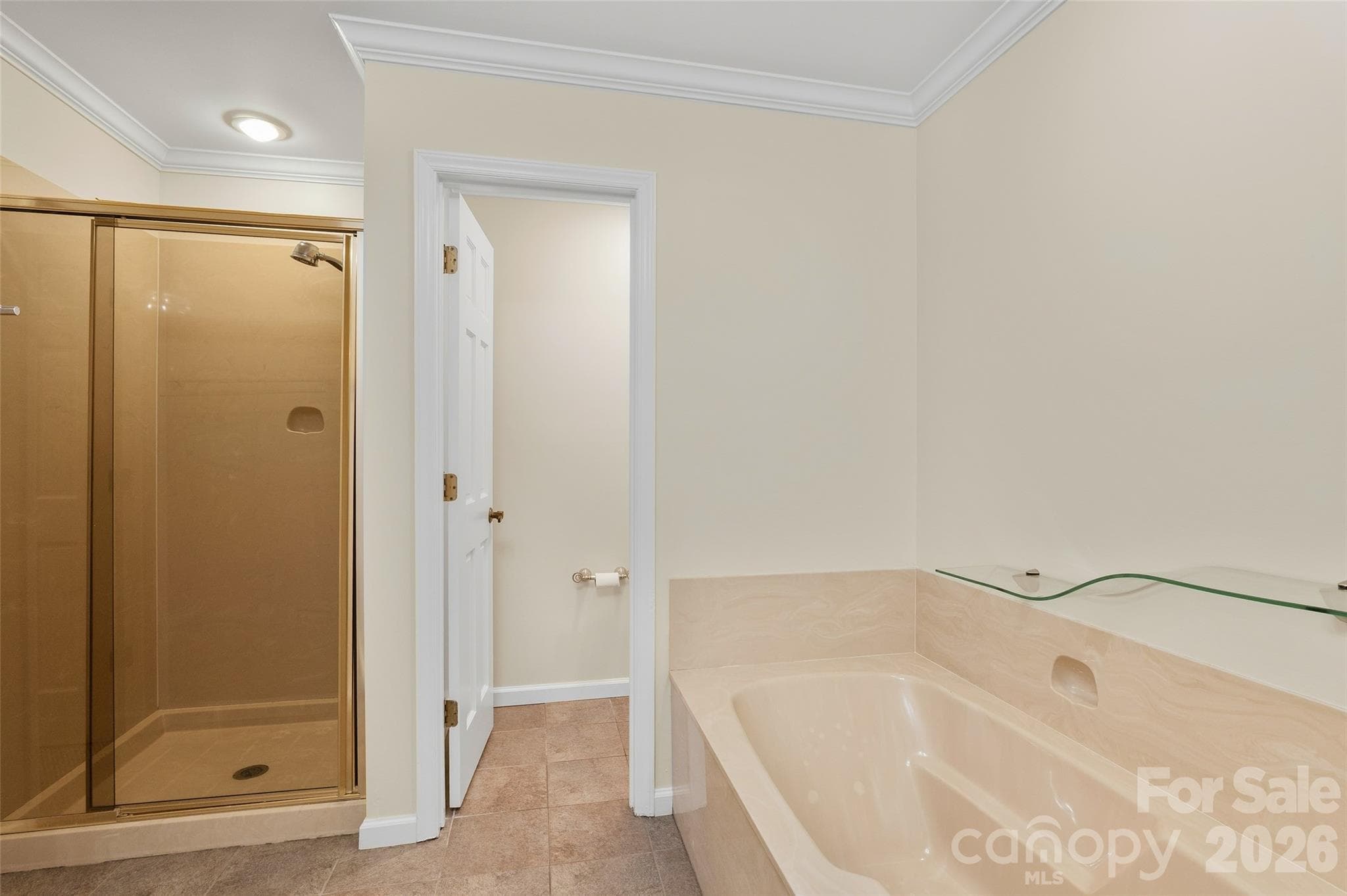 Bathtub and walk-in shower - 201 Timber Drive, Asheville
