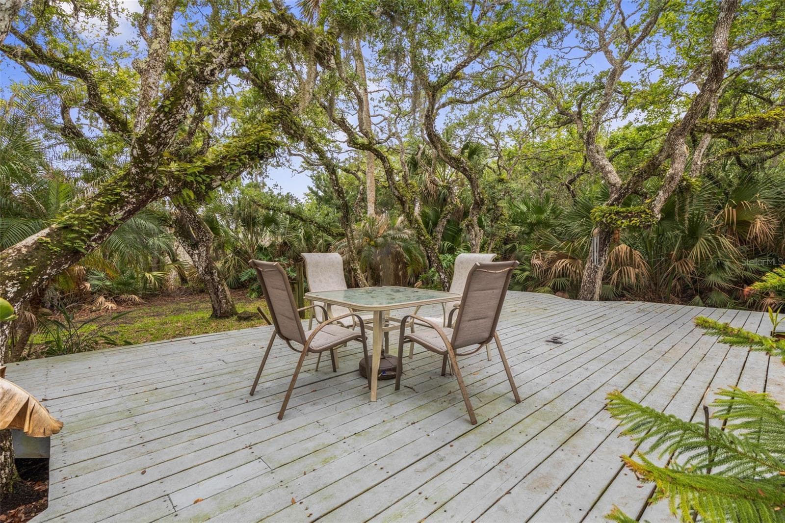 Single Family Residence at 1436 S FLAGLER AVE, FLAGLER BEACH, photo 15 of 40