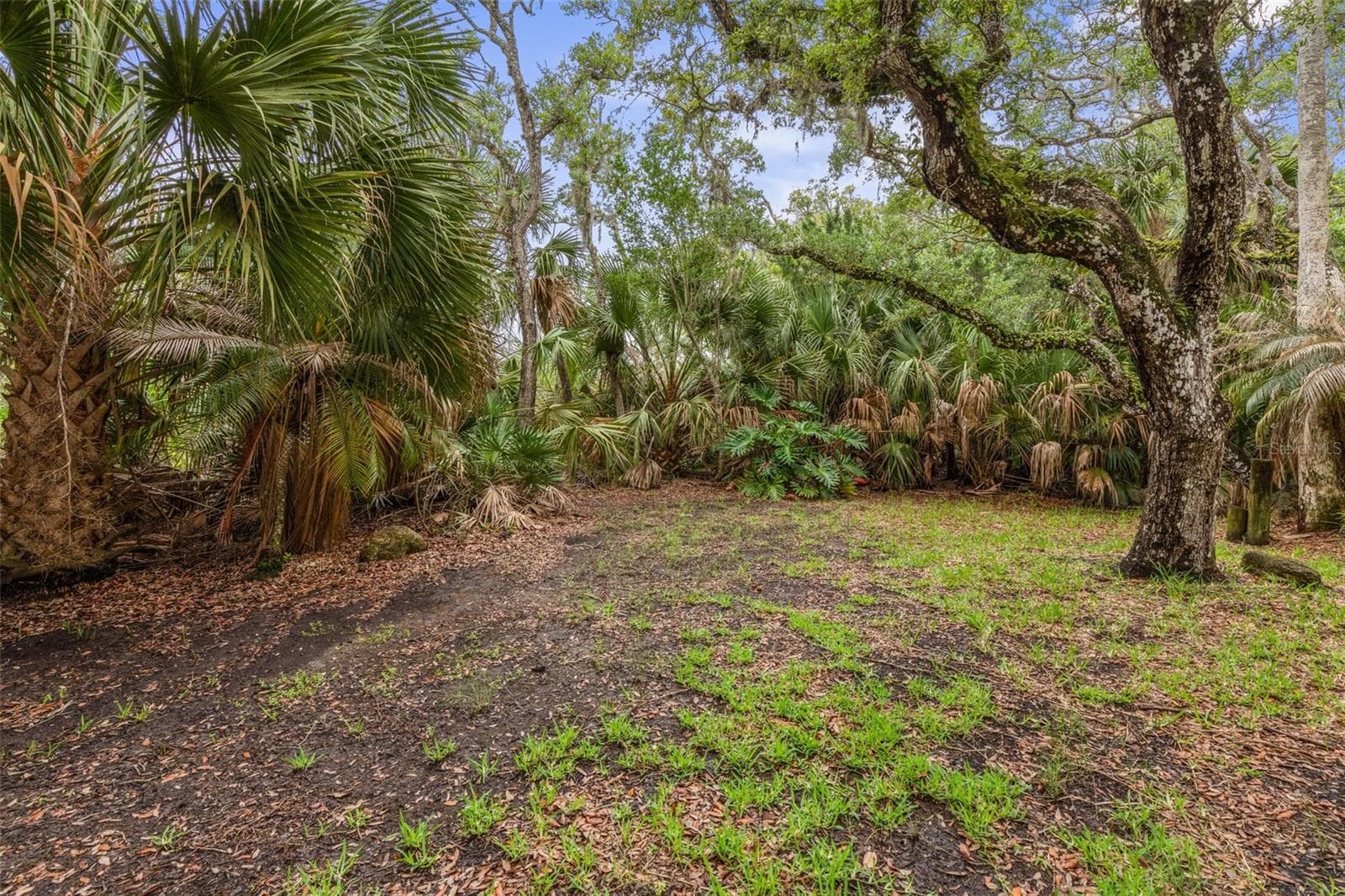 Single Family Residence at 1436 S FLAGLER AVE, FLAGLER BEACH, photo 17 of 40