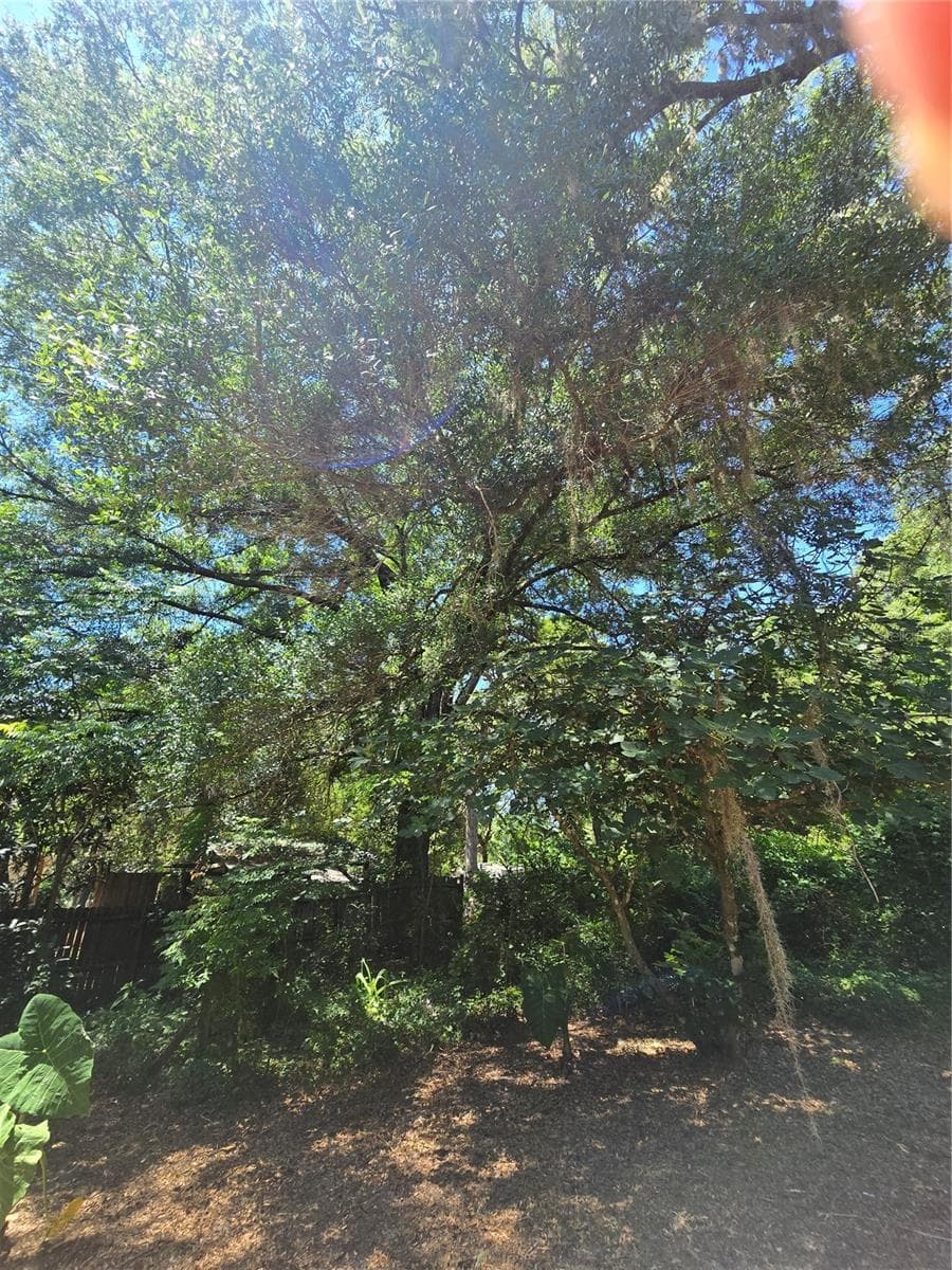 FIG TREE!! - 15176 NE 154TH LN, FORT MC COY