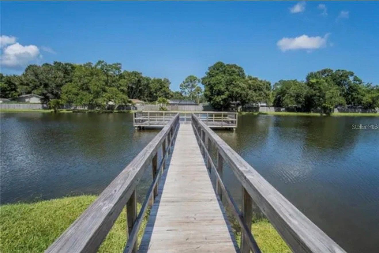 The lake and dock. - 3815 N OAK DR #G71, TAMPA