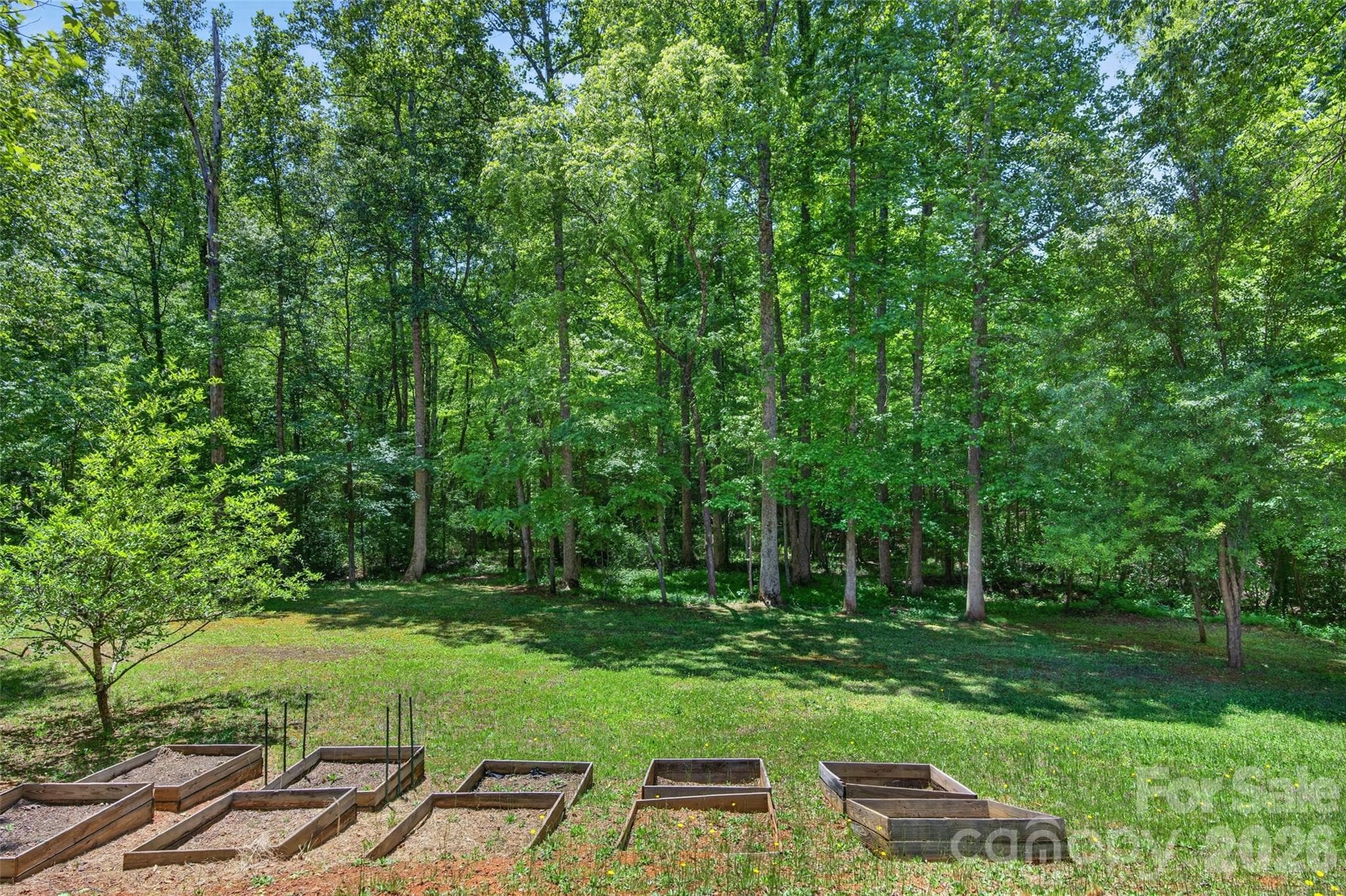 Raised planting boxes and a couple of fruit trees. - 2977 Cabin Creek Drive, Catawba