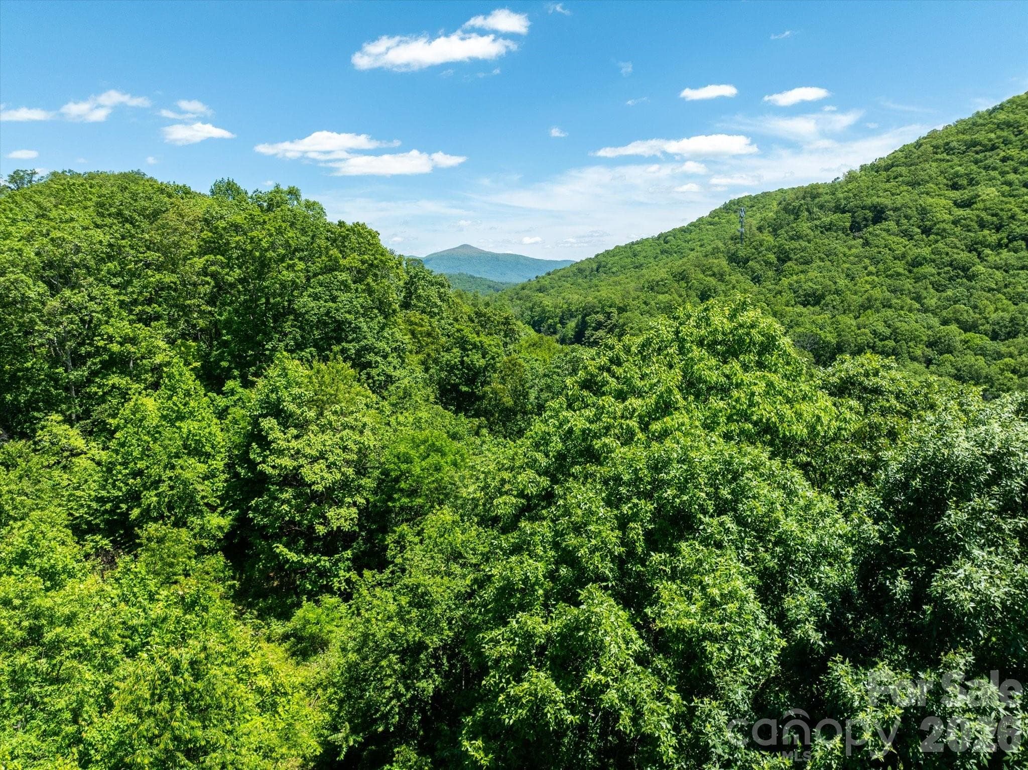 The potential vistas from the homesites will take your breath away. - 99999 Winding Ridge Road, Fairview
