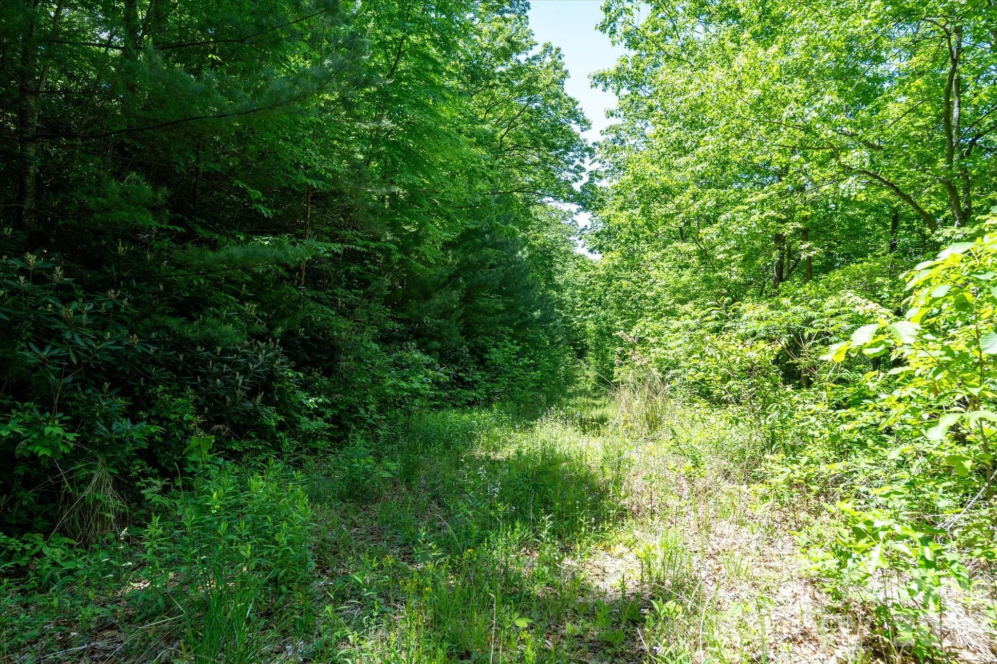 The road bed into the 23 acre parcel is crowned and ditched with culverts where necessary for proper drainage. - 99999 Winding Ridge Road, Fairview