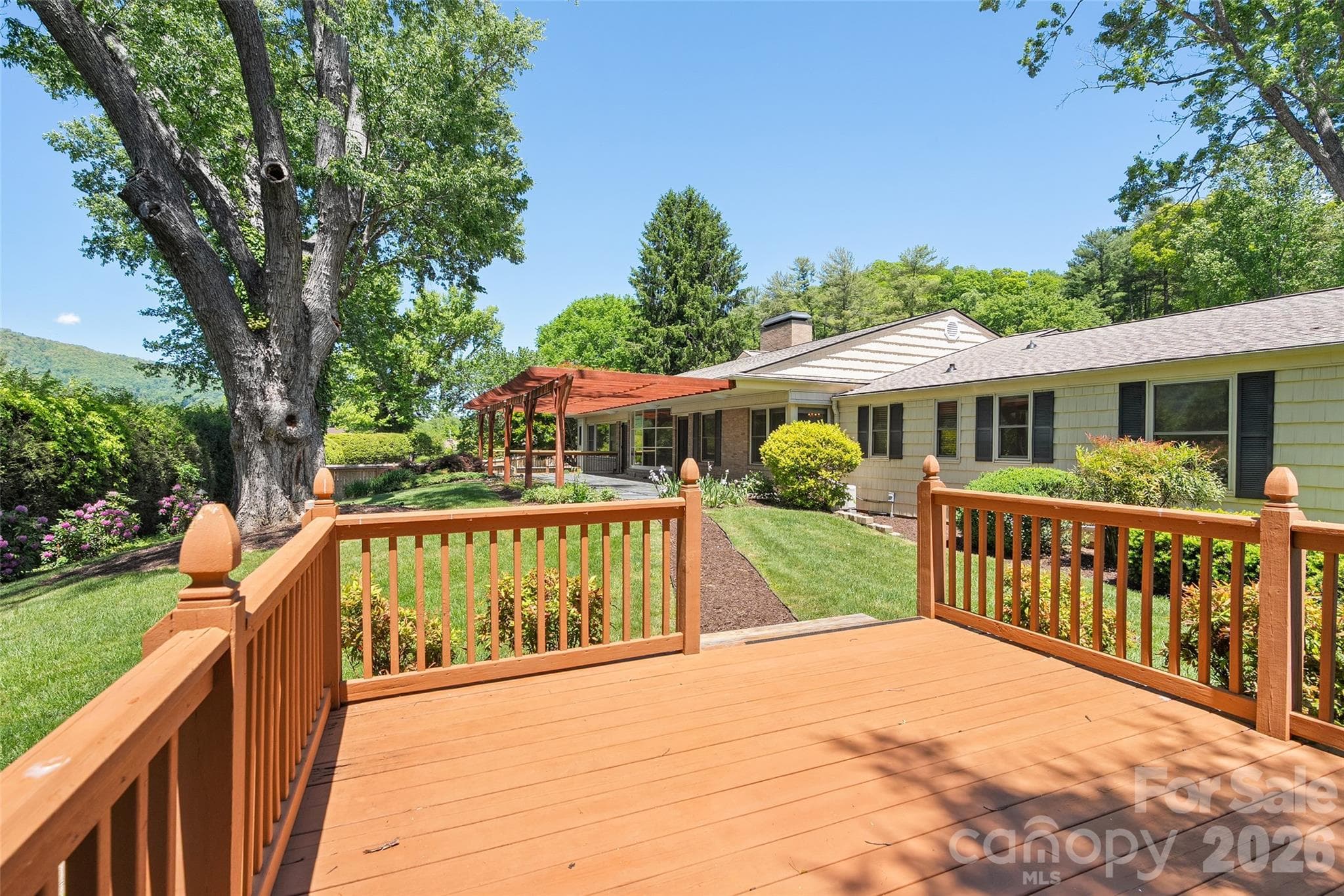 Back yard - Waynesville
