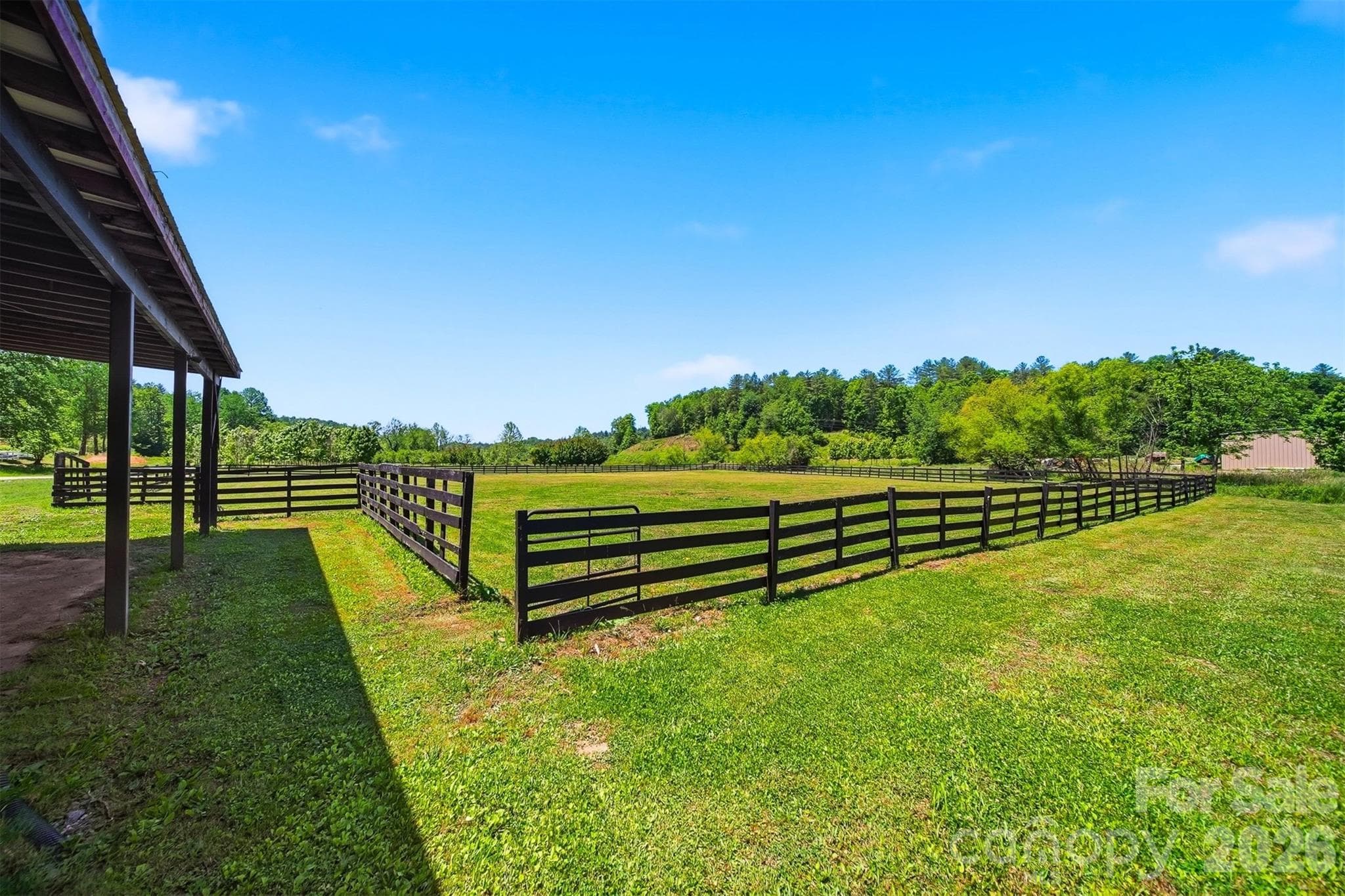 Acreage at 81 +/- Acres 2967 Roby Martin Road, Lenoir, photo 34 of 37