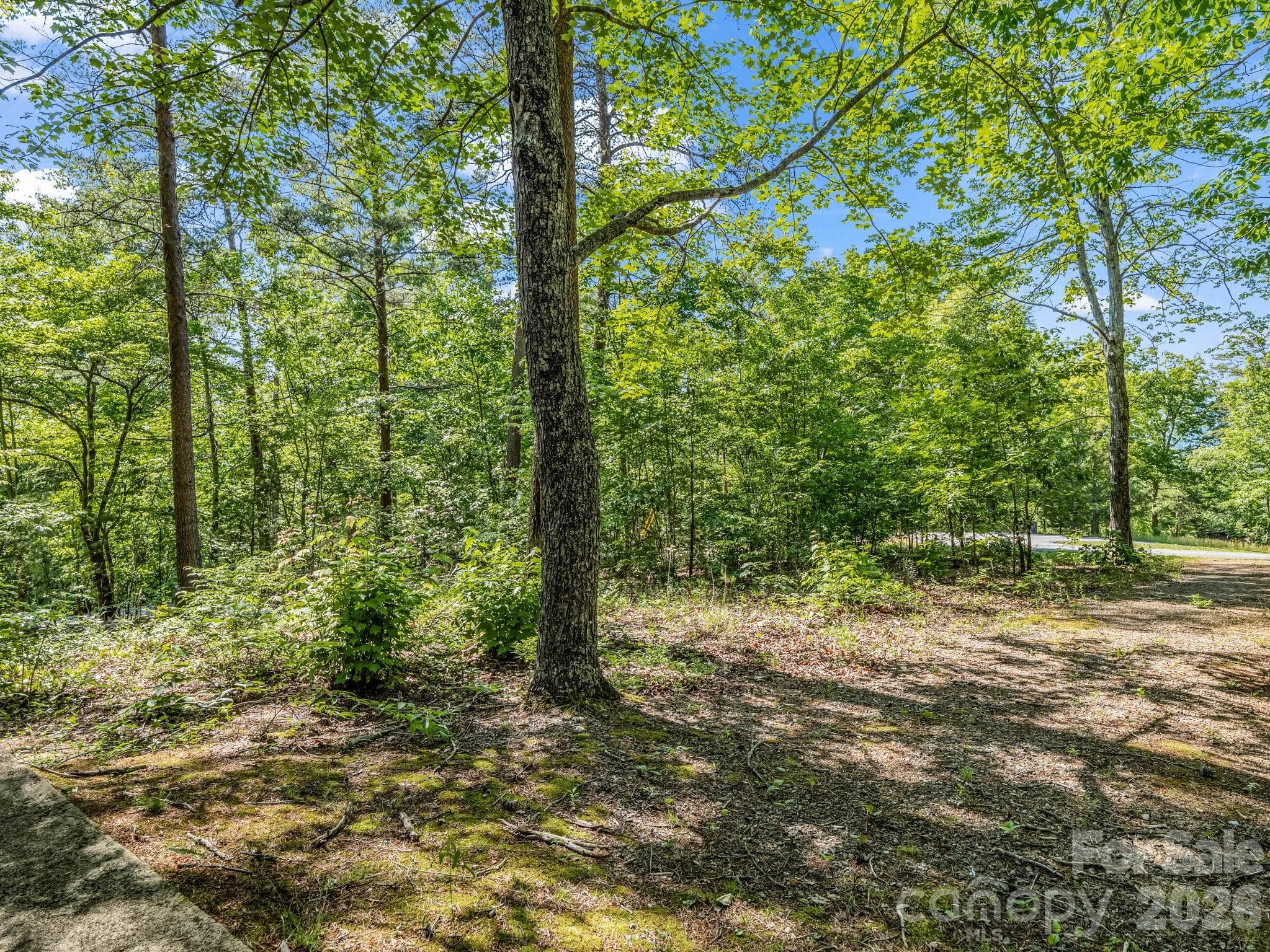 Single Family Residence at 740 Justice Drive, Lake Lure, photo 10 of 34