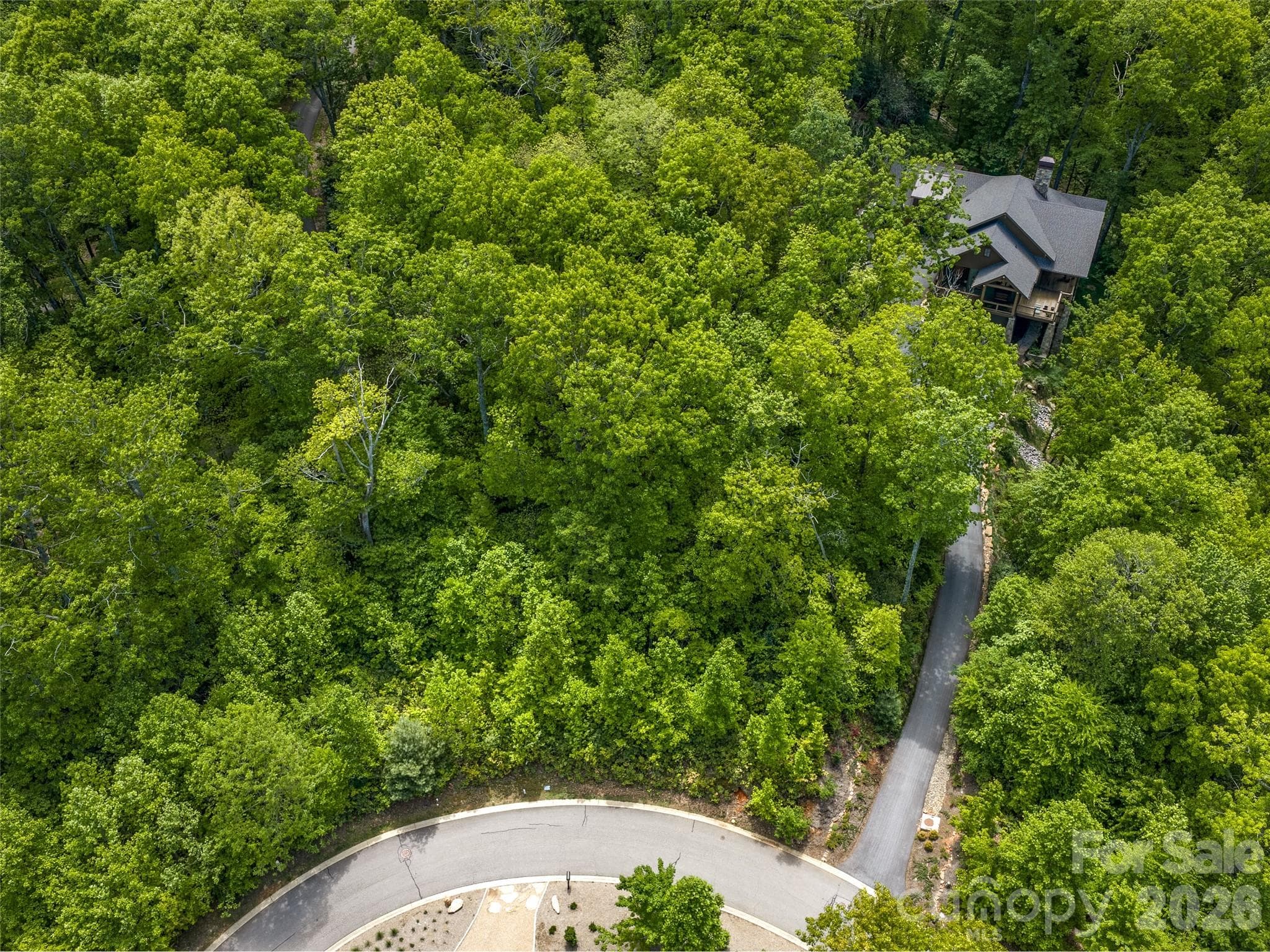 Beautiful wooded lot - Black Mountain