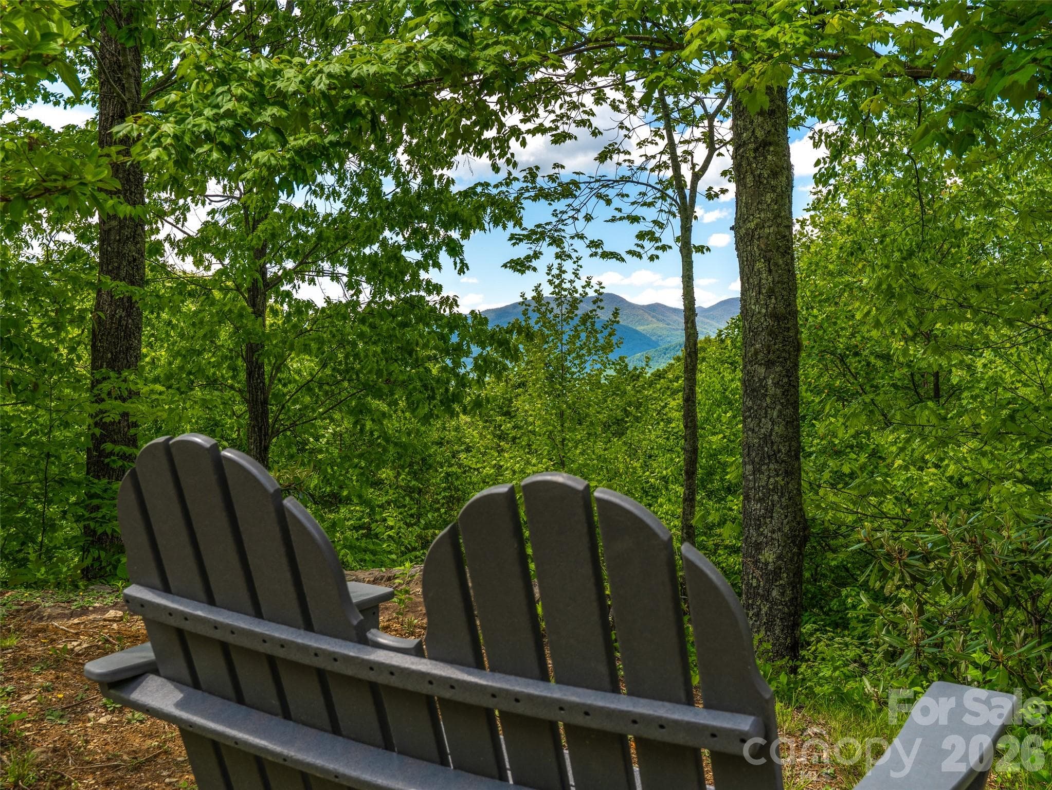Community clubhouse , playground and walking trails - Black Mountain