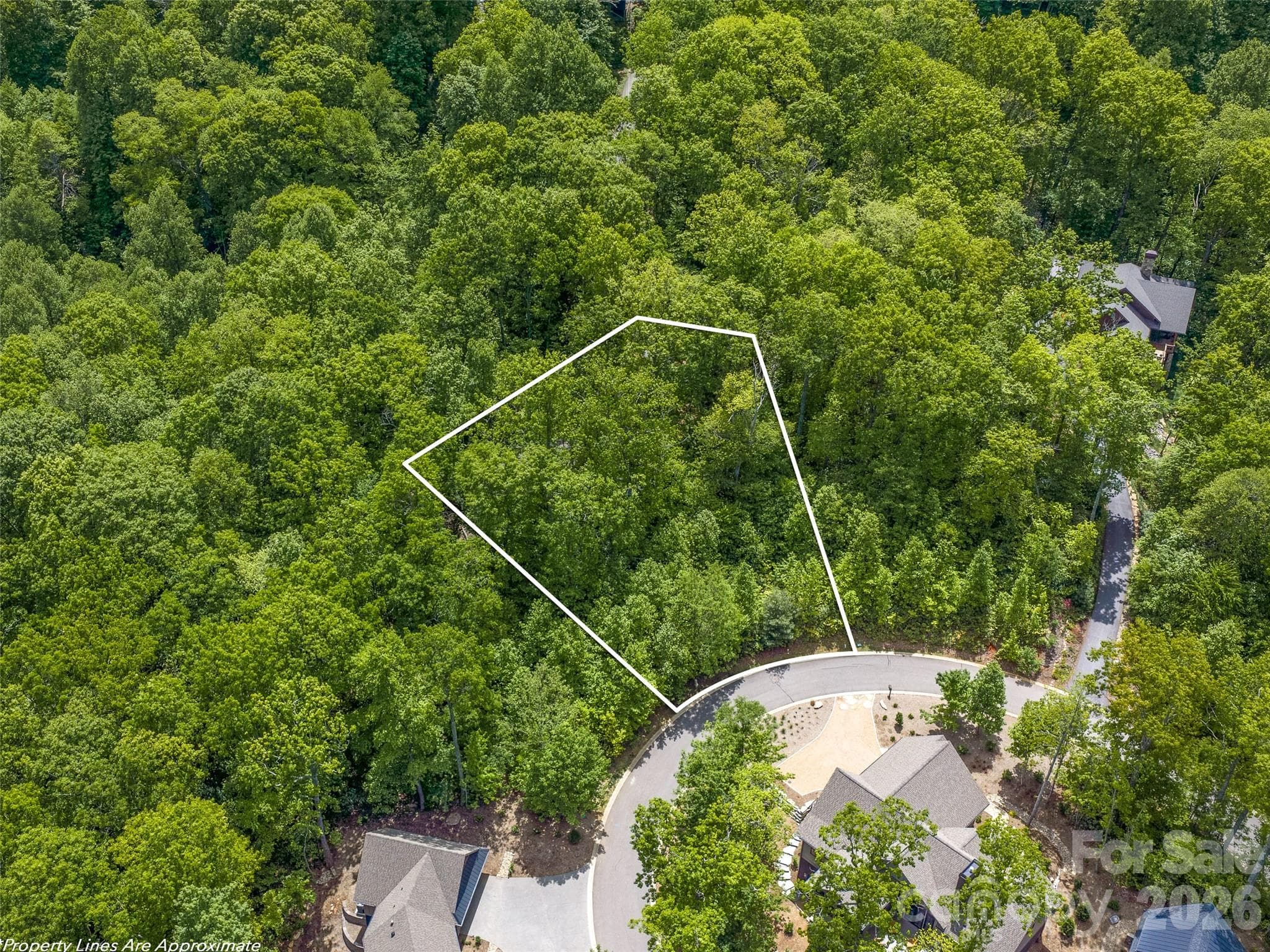 Lot at Black Mountain, photo 6 of 19