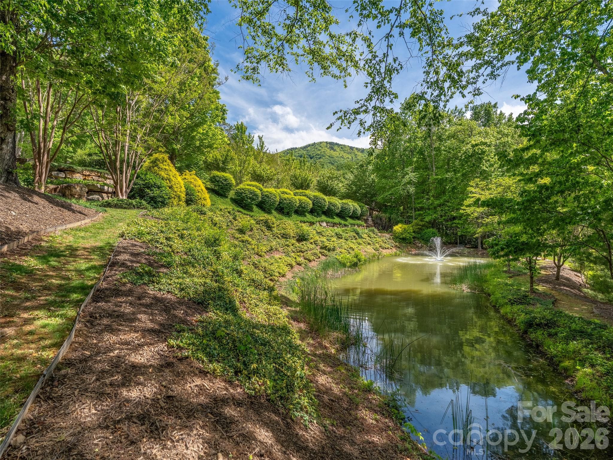 Lot at Black Mountain, photo 19 of 19