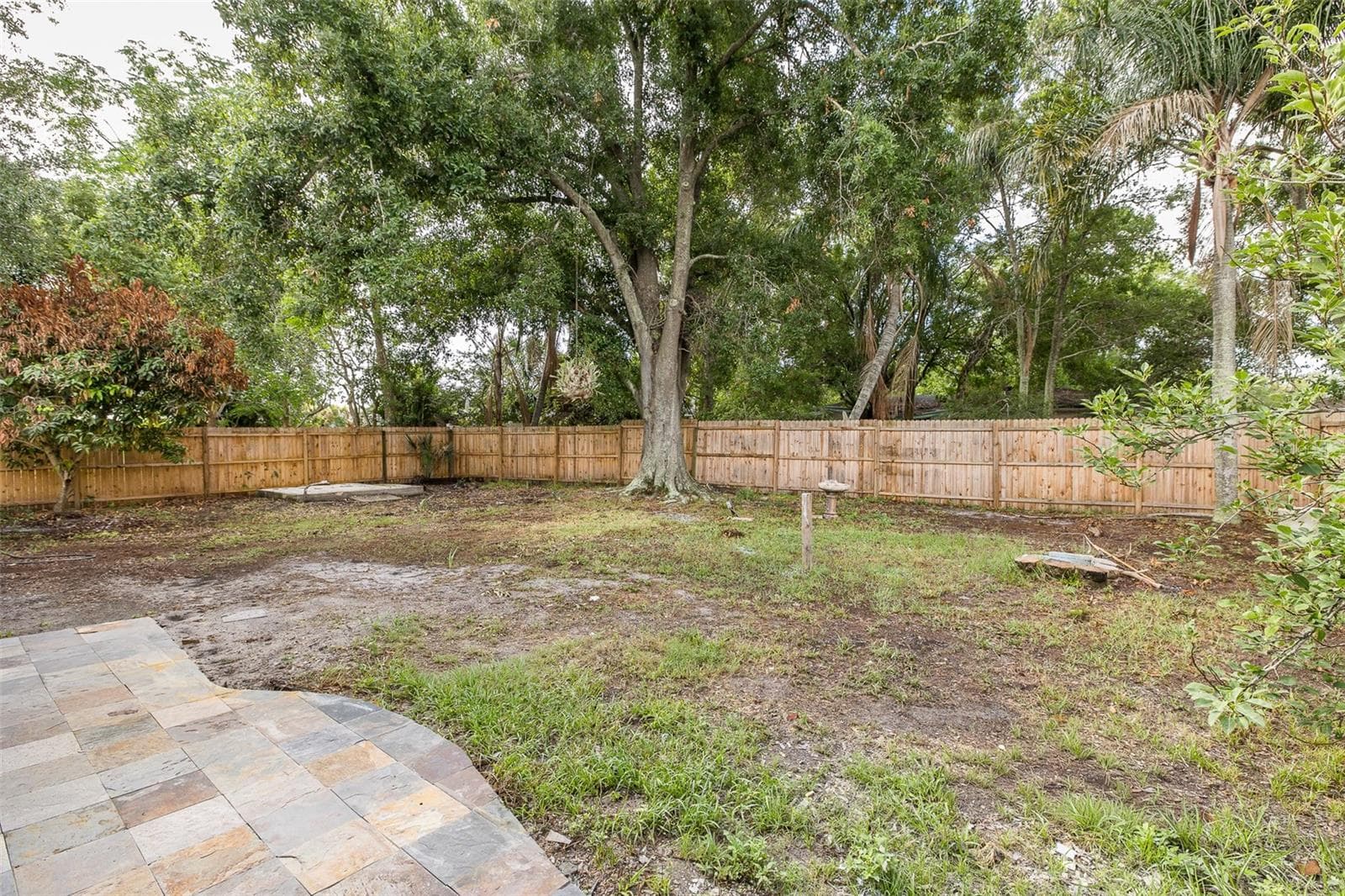 Fully-fenced backyard - 1815 DRIFTWOOD CIR S, OLDSMAR