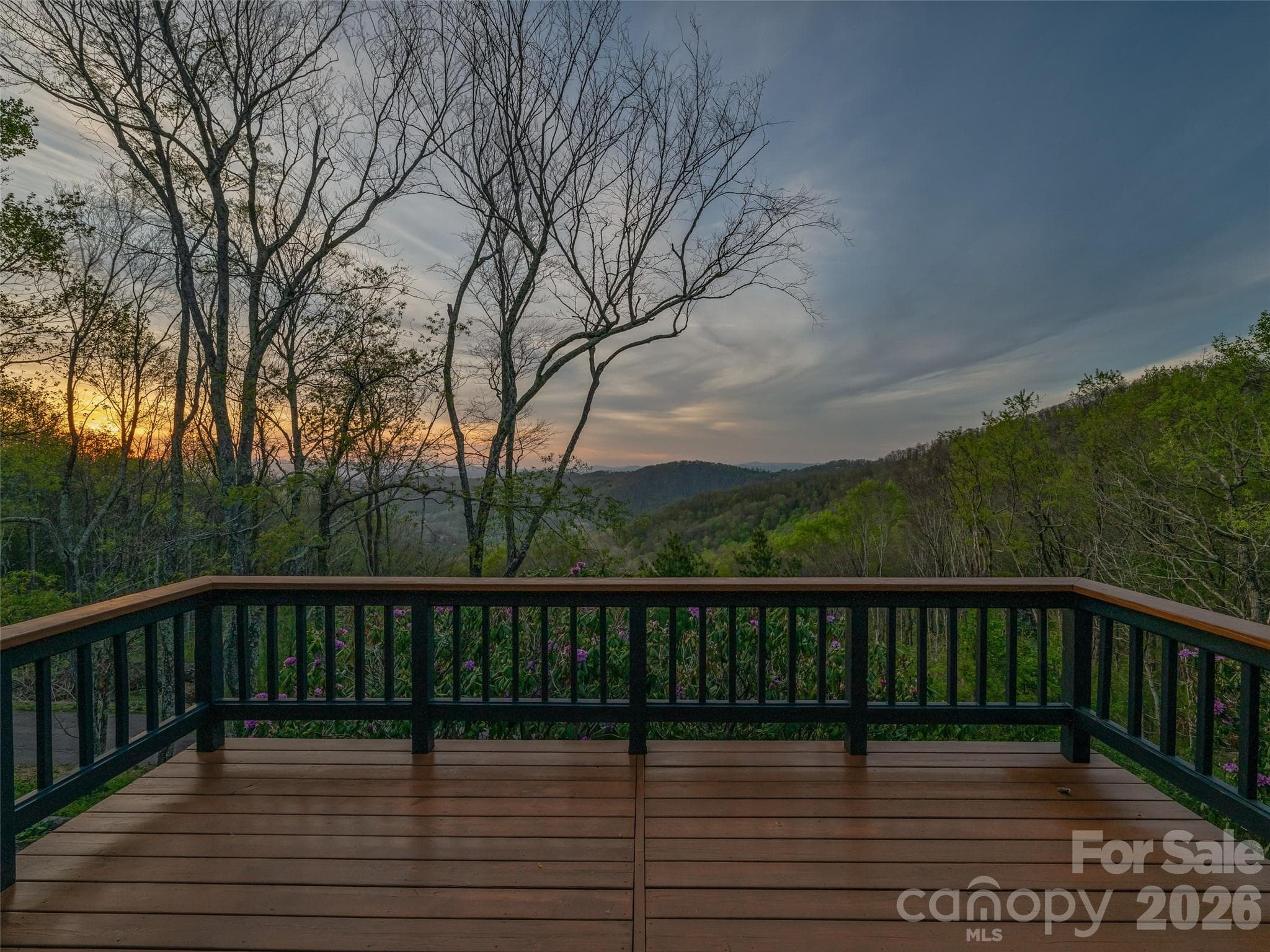 A serene setting to take in a Beaverdam valley sunset. - 100 Big Spring Drive, Asheville