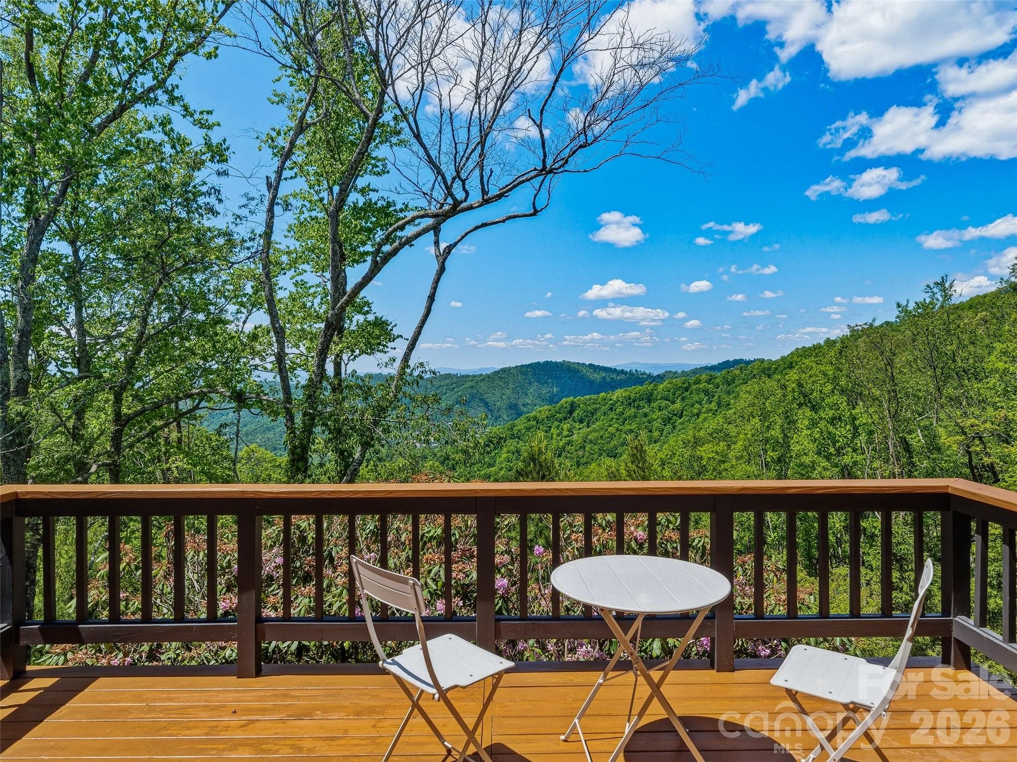 Dining deck with views. - 100 Big Spring Drive, Asheville