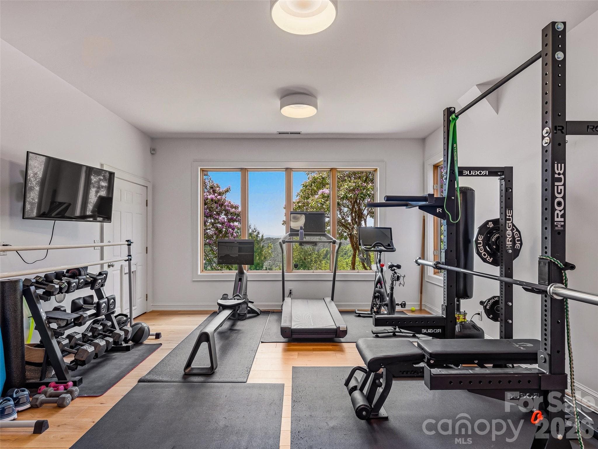 Large flex space provides limitless options to fit your needs. An adjacent half bath makes it the perfect place for an additional bedroom, home office, home gym, art studio, and the list goes on... - 100 Big Spring Drive, Asheville